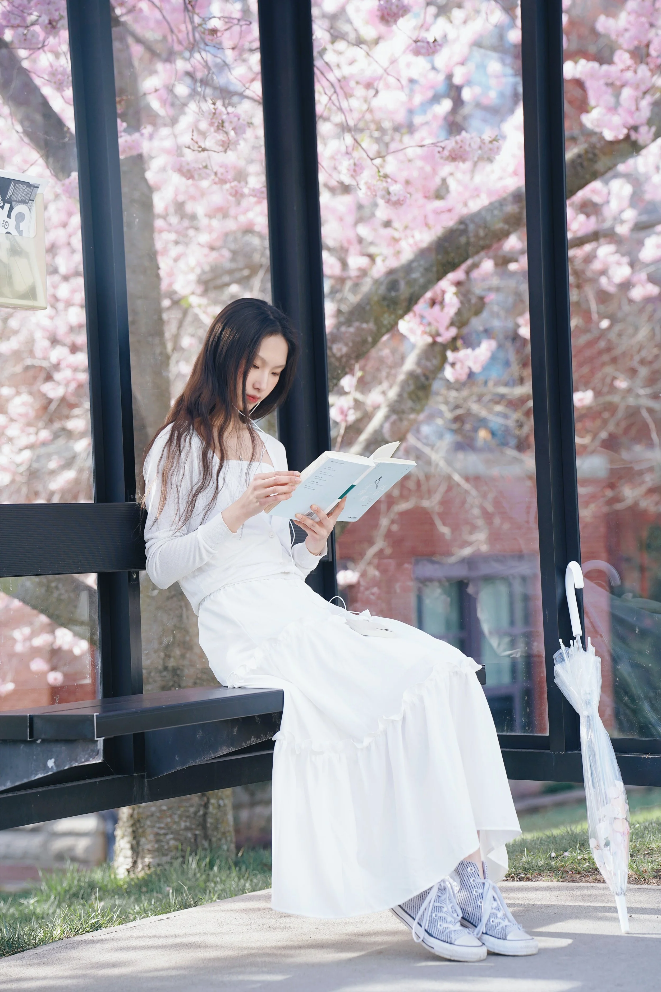 A young woman with long dark hair reading a book while sitting on a bench inside a bus shelter with clear glass walls, leafless trees with pink flowers in the background, wearing a white long dress, sneakers, and striped socks. There is an umbrella s