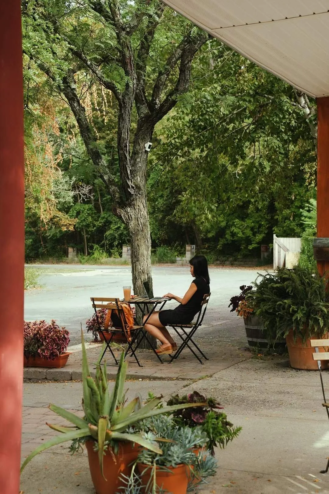 A woman in a black dress sitting at an outdoor table with a laptop and a drink, surrounded by potted plants, under a covered patio with a view of trees and a quiet street.