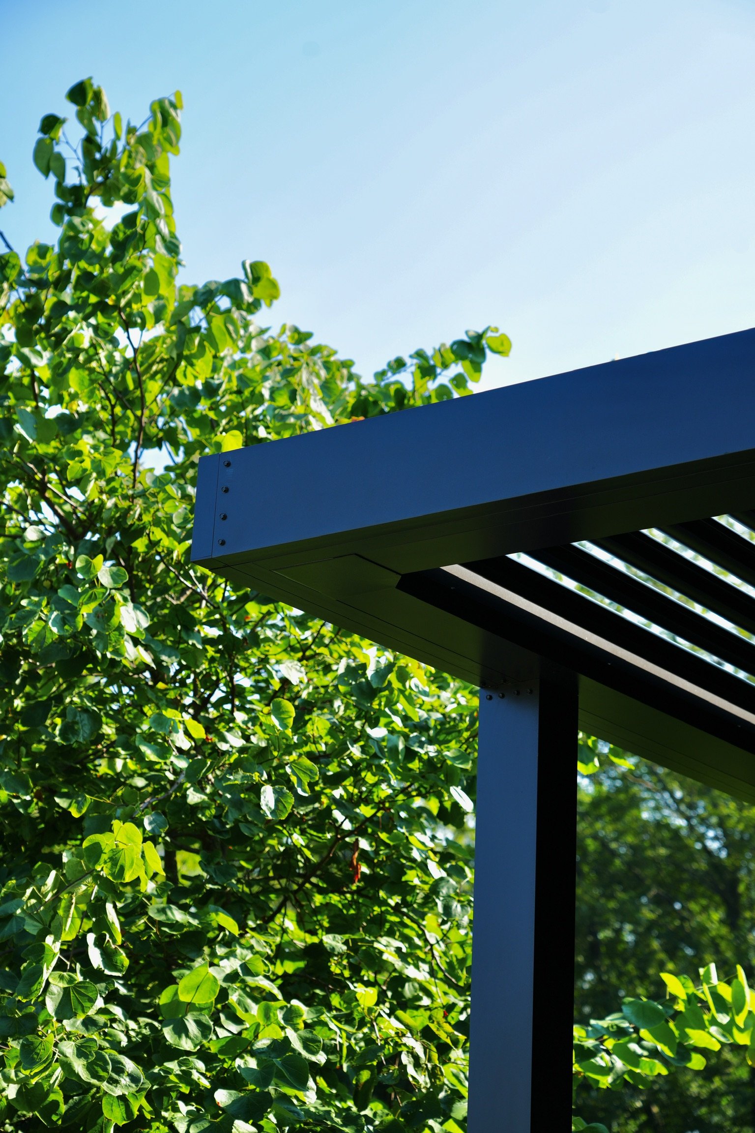 Beecham.Beecham Elevated Harmony 1.JPG