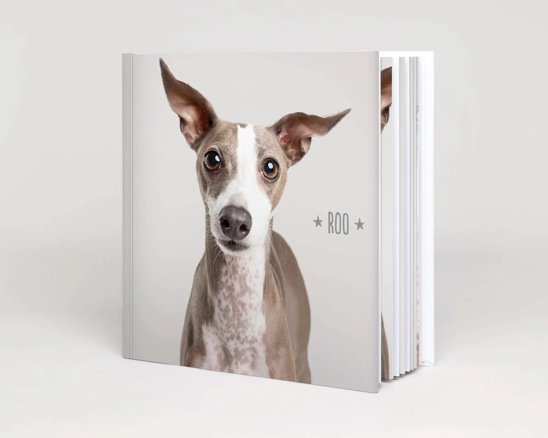 A stack of white notebooks featuring an image of a dog with large ears and a curious expression on the cover, with the name 'Roo' and stars printed on it.