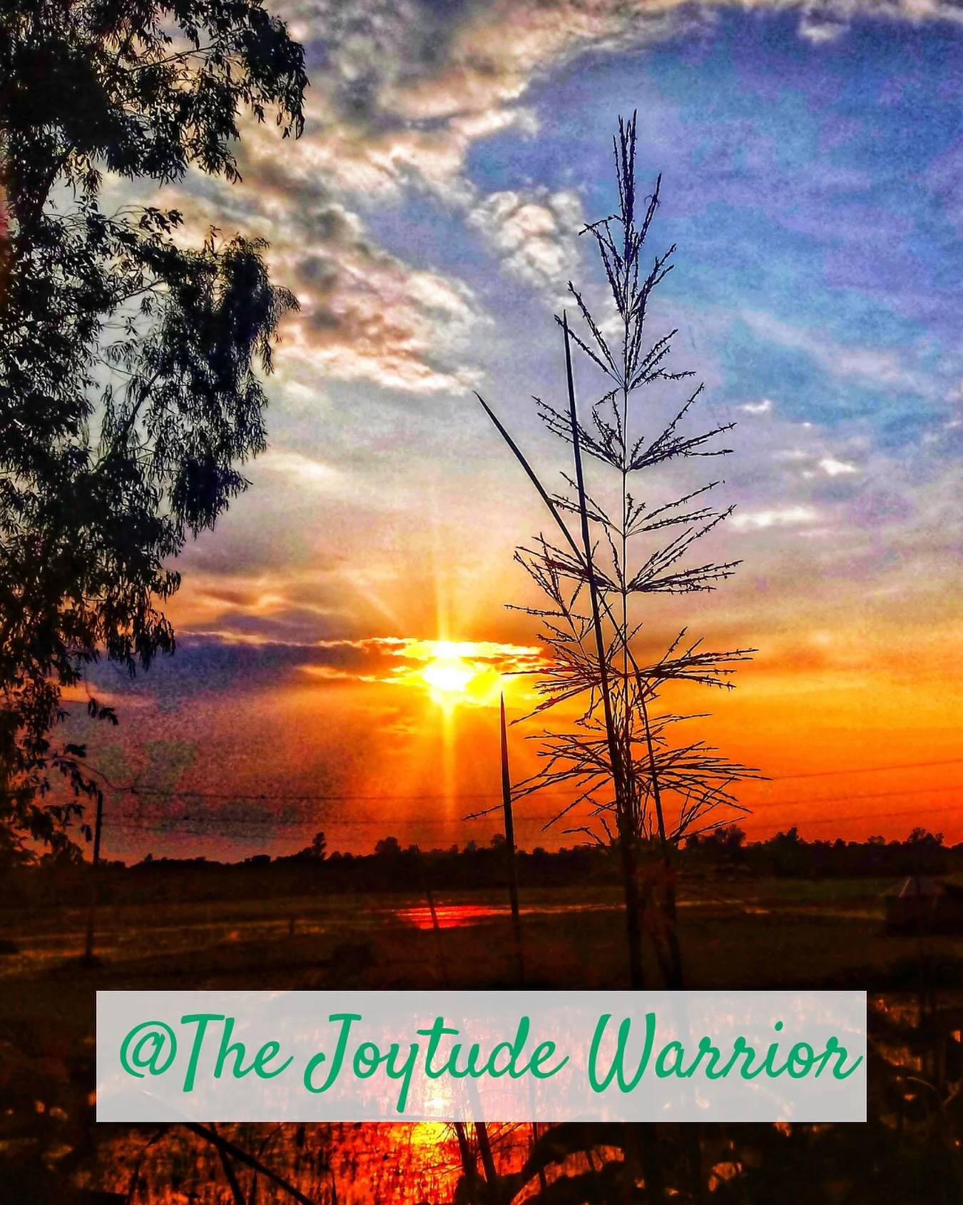 Choose joy&mdash;
even when it&rsquo;s the quietest voice inside.
Even when it&rsquo;s just a whisper beneath the noise.
Even when it&rsquo;s hard to hear, hard to trust, hard to follow. ~The Joytude Warrior

Joy isn&rsquo;t always loud. It doesn&rsq