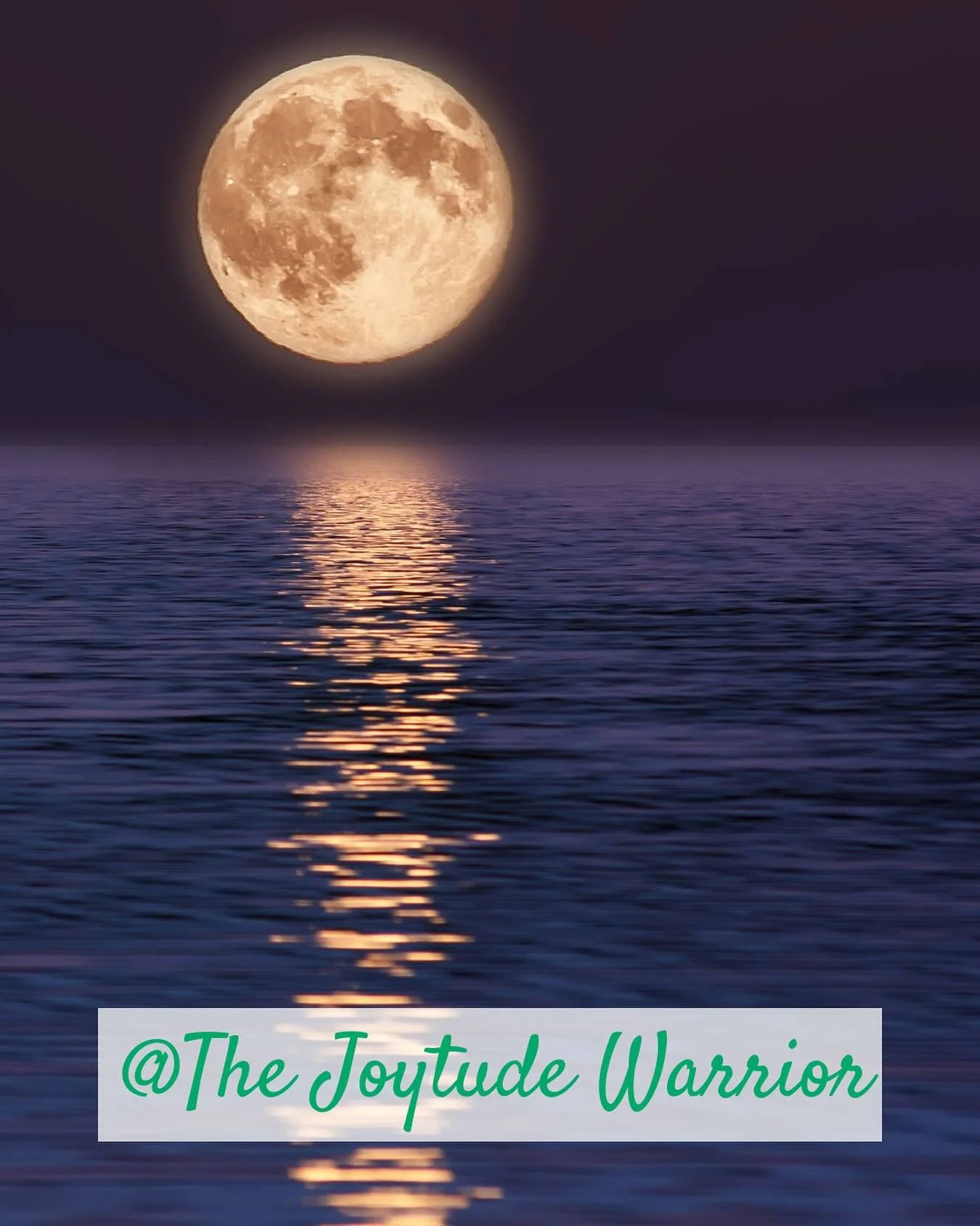 &ldquo;Protect your joy like it&rsquo;s something sacred&mdash;because it is.&rdquo; ~The Joytude Warrior 🌱

Joy isn&rsquo;t just a fleeting feeling&mdash;it&rsquo;s life force. A pulse. A truth.
And in a world that often demands your energy, your e