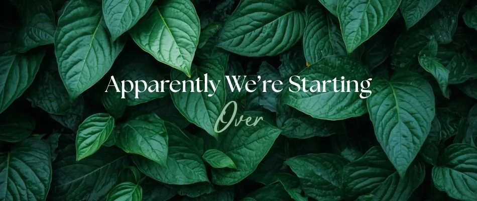 Apparently We’re Starting Over
