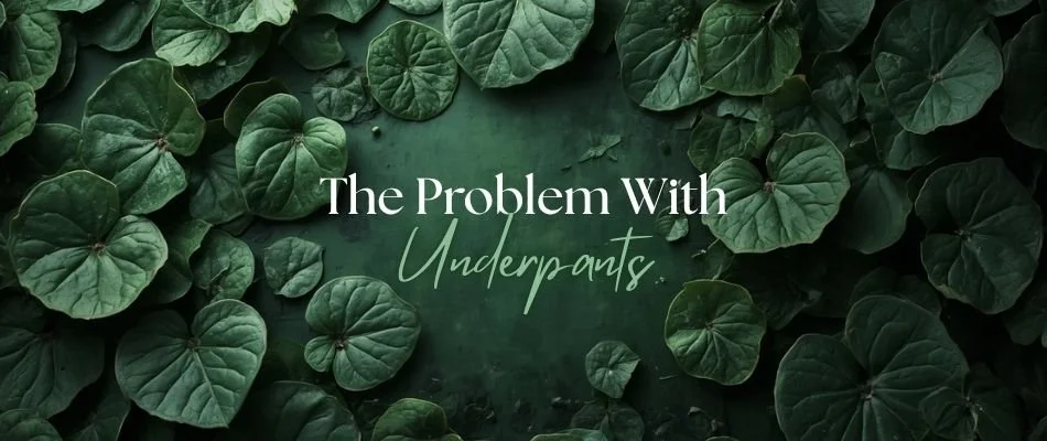 The Problem With Underpants (And Other Things I Learned Rewriting My Novel)