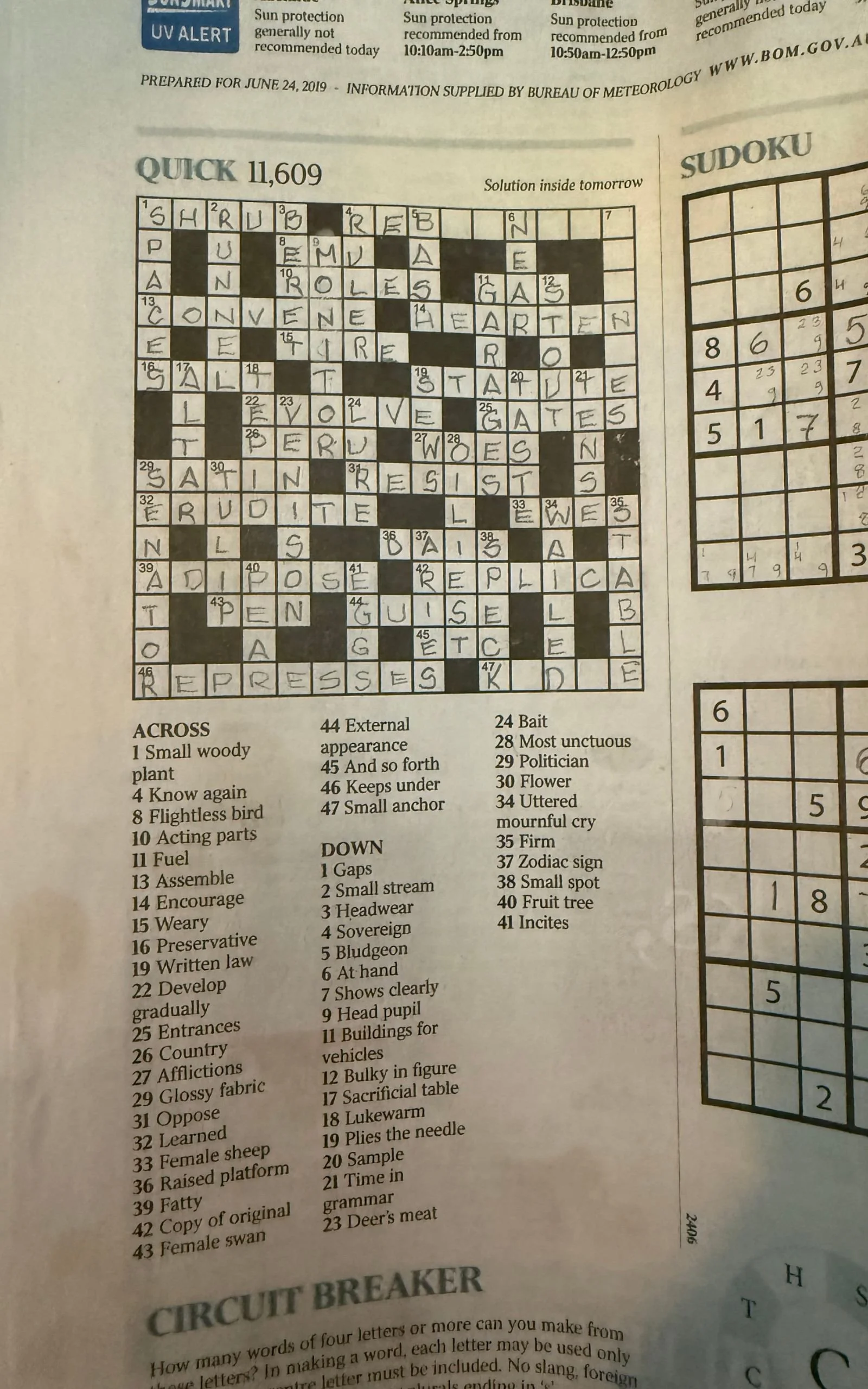 Crossword Puzzles And Fabric Softener by Britt Wolfe Author