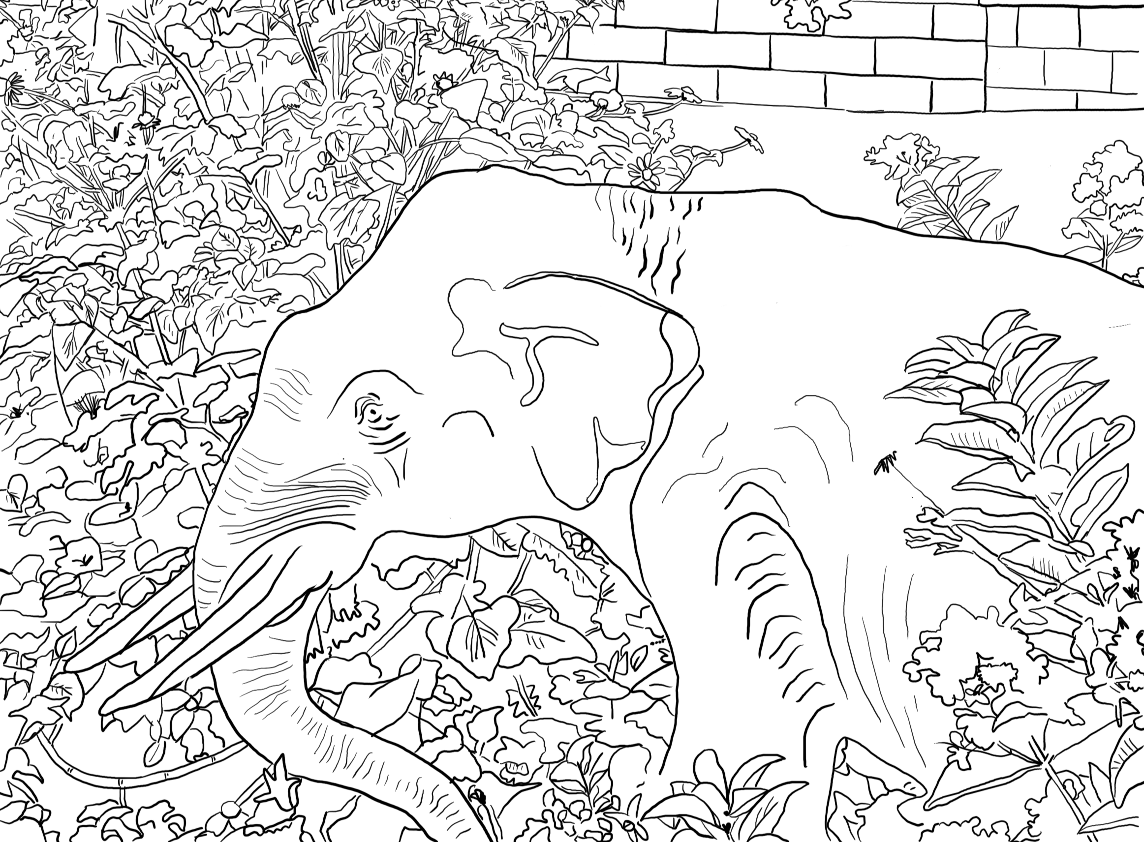 Columbus Coloring Book