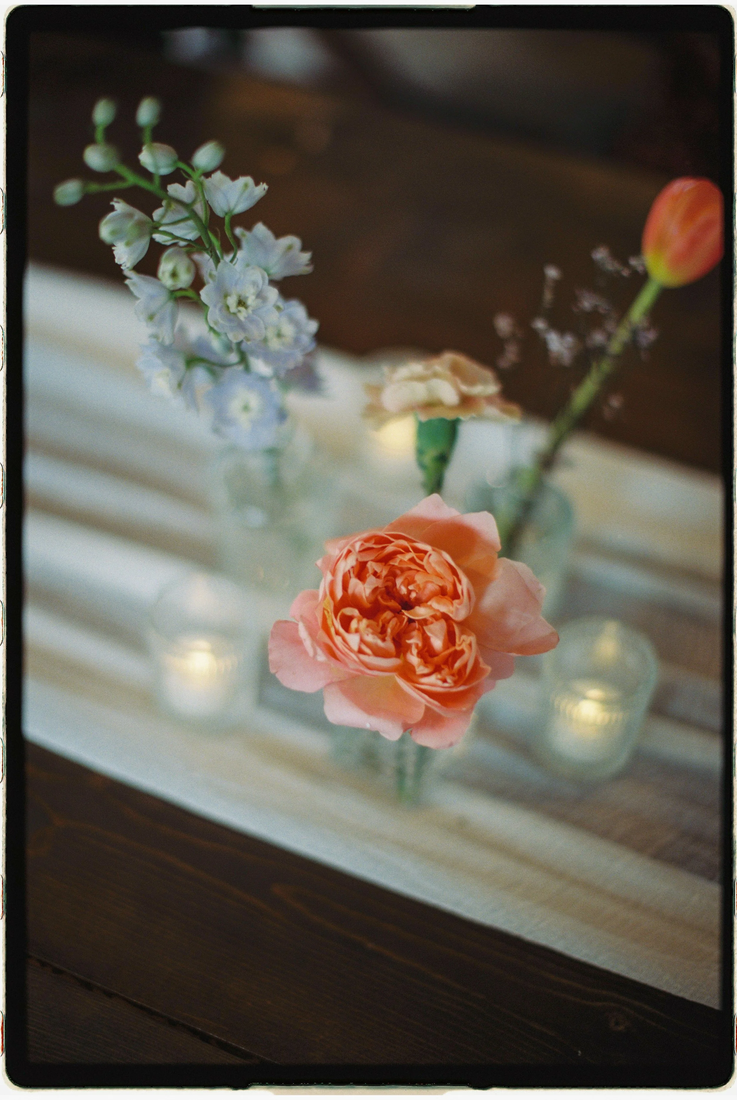 cecilelouisephotography-37.JPG
