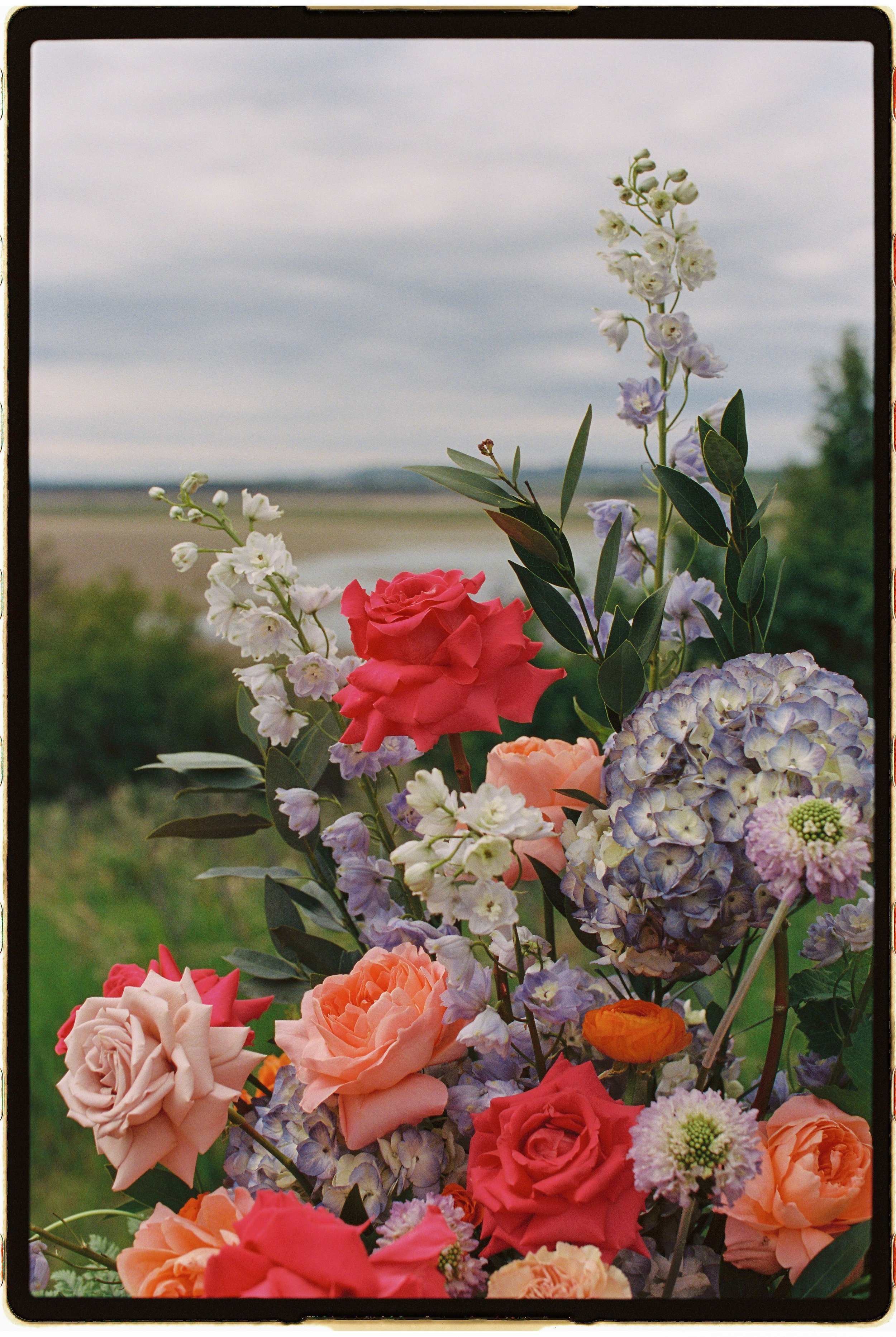cecilelouisephotography-53.JPG