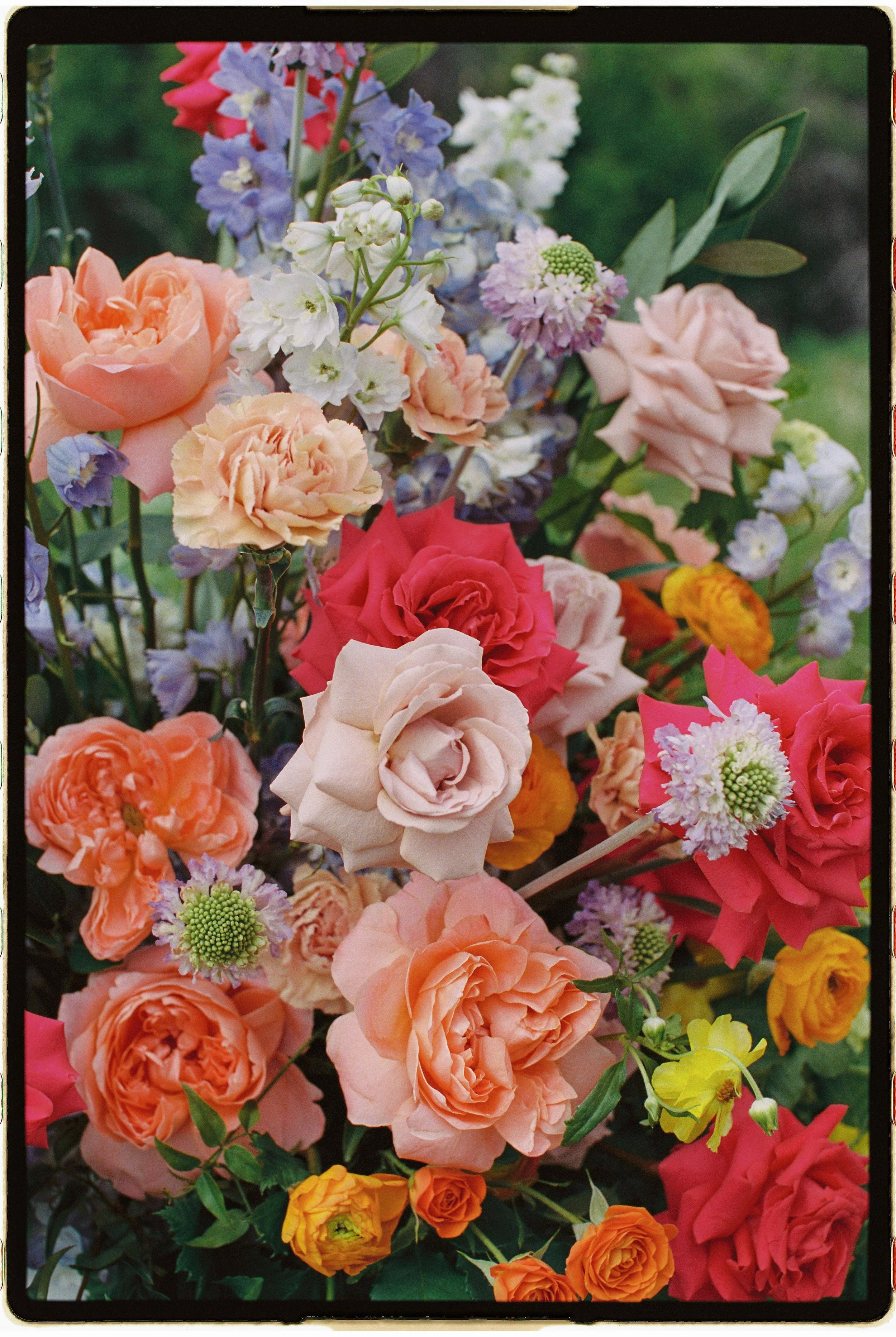 cecilelouisephotography-54.JPG