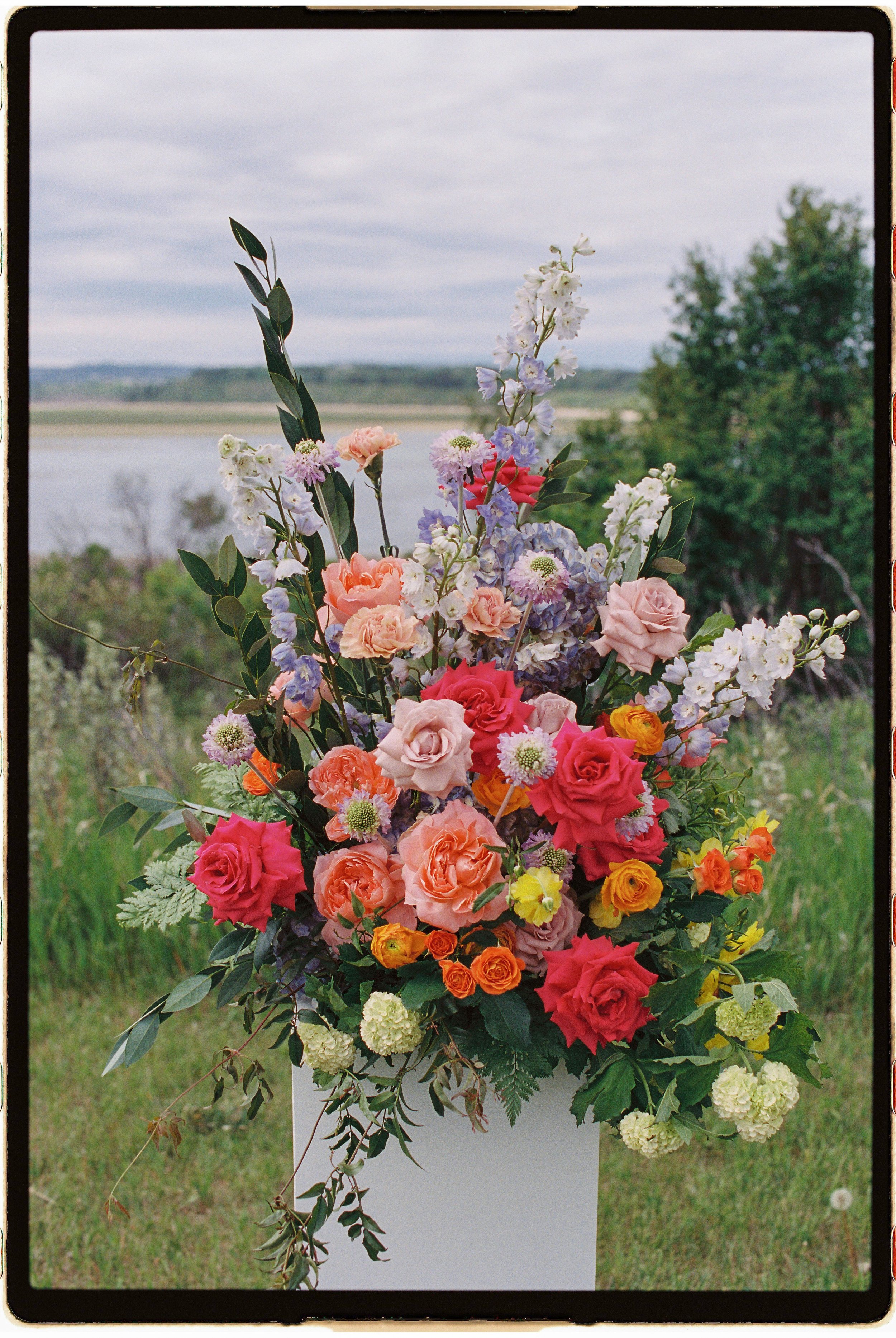 cecilelouisephotography-55.JPG