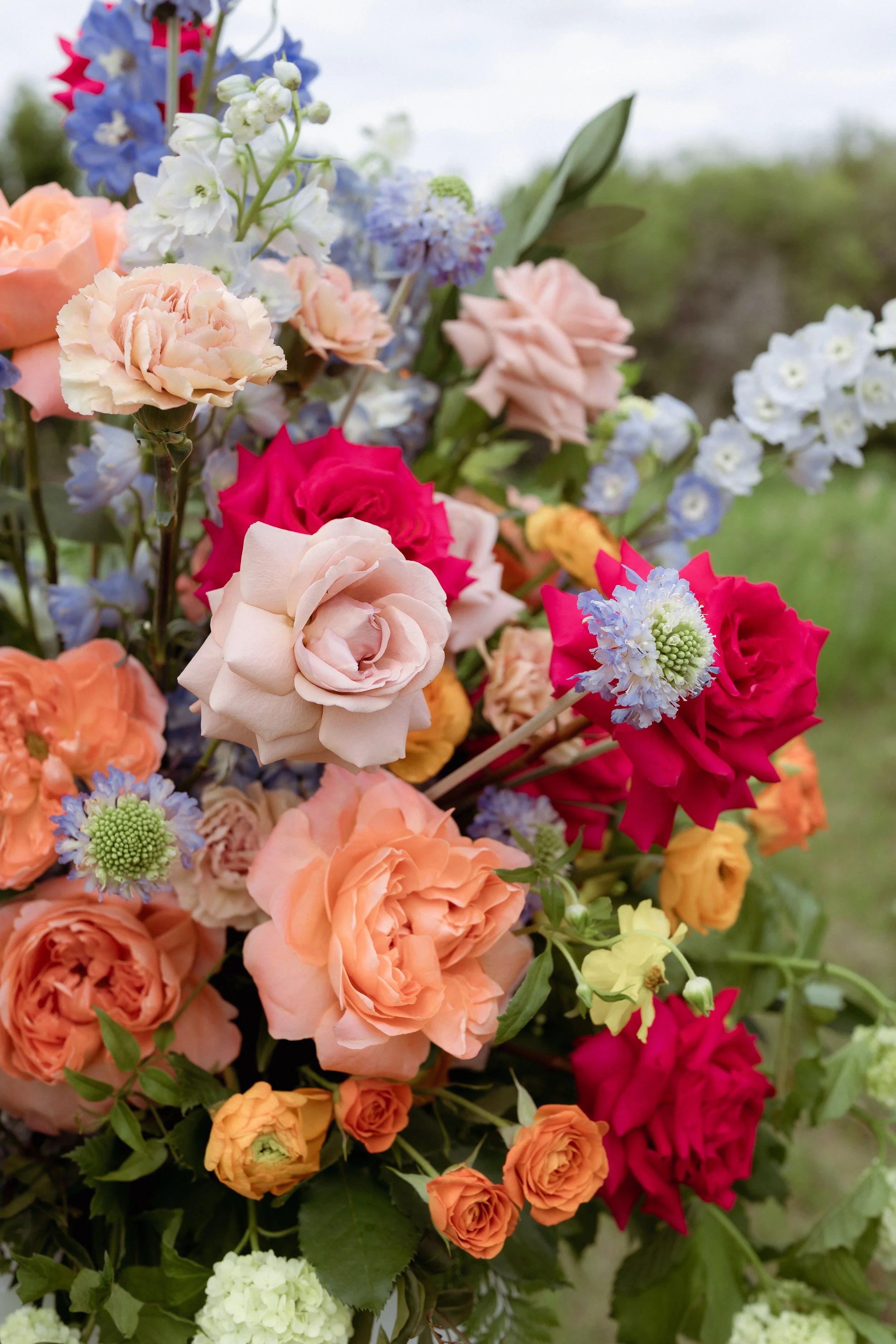 cecilelouisephotography-260.JPG