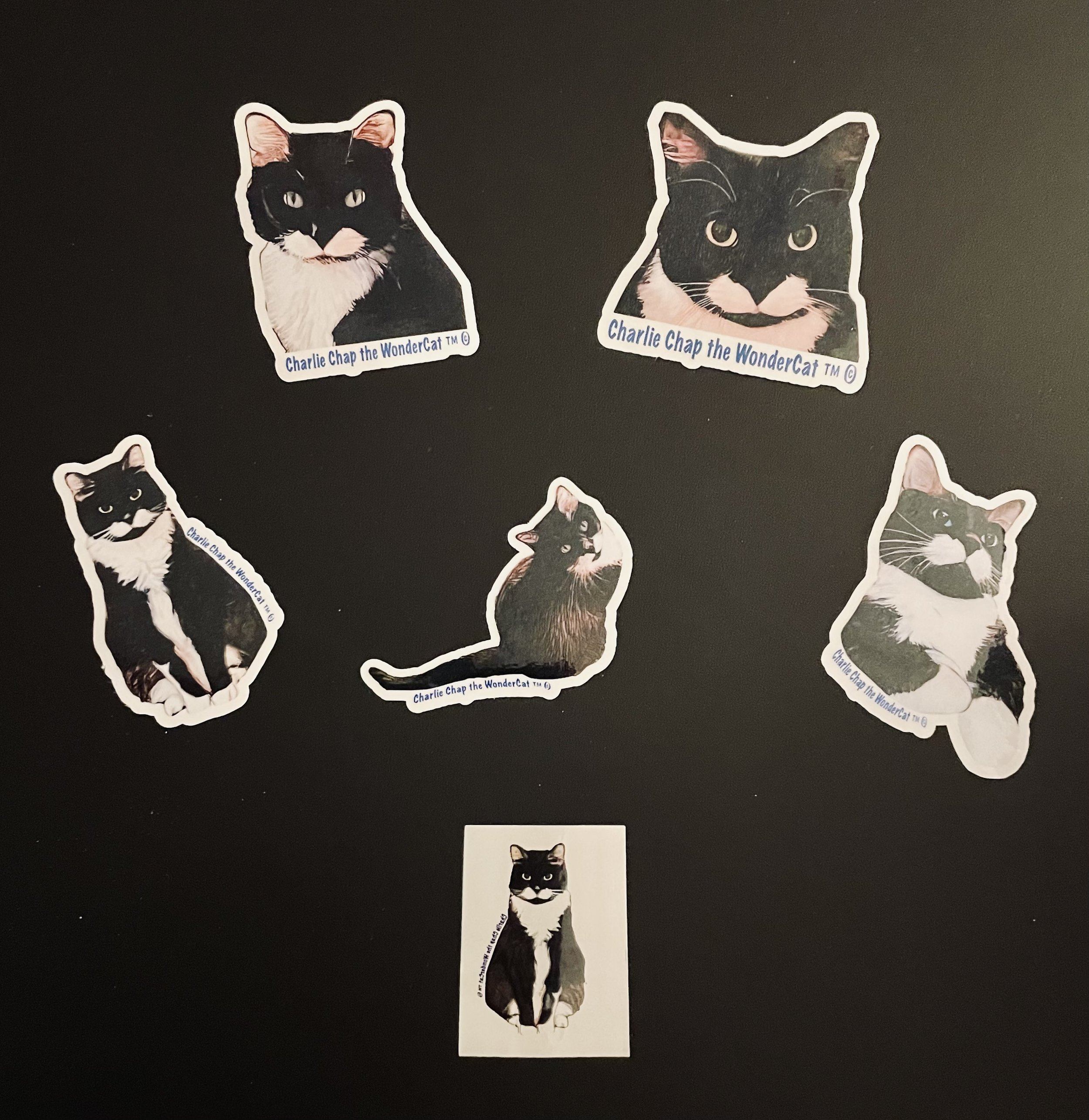 Sticker Five Pack With Temporary Tattoo