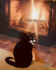 A black cat sitting in front of a fireplace with a fire burning inside, with watermark showing the glass of the fireplace. Does not show on purchased picture