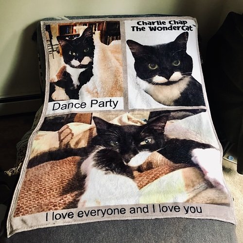 Charlie Chap the WonderCat Blanket 1.jpeg