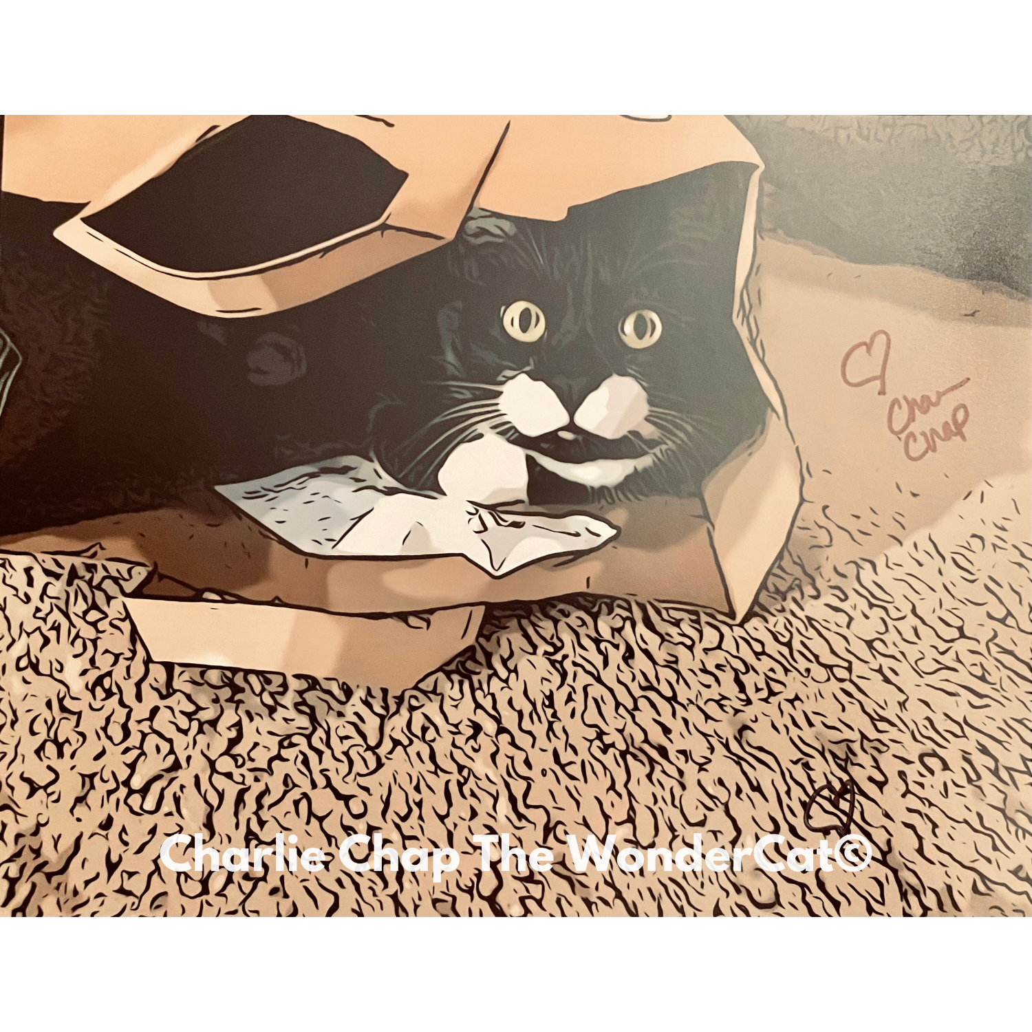 Charlie Chap Illustration I 8x10