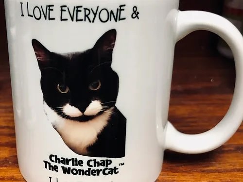 Charlie Chap the WonderCat Mug 2.jpeg