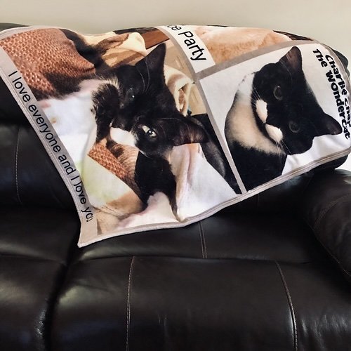 Charlie Chap the WonderCat Blanket 3.jpeg