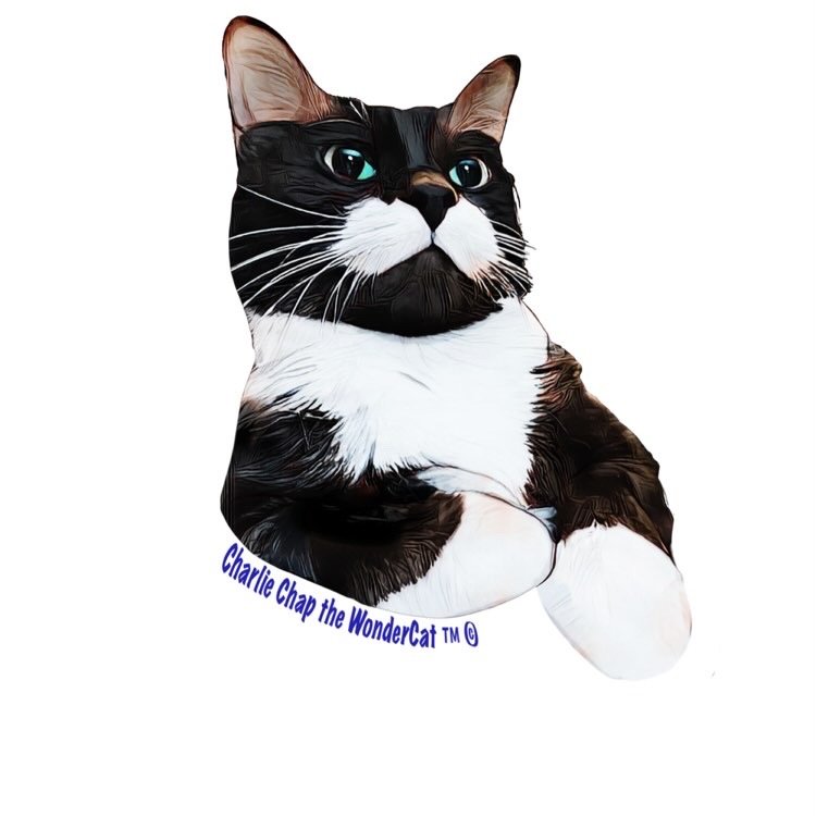 Charlie King Sticker