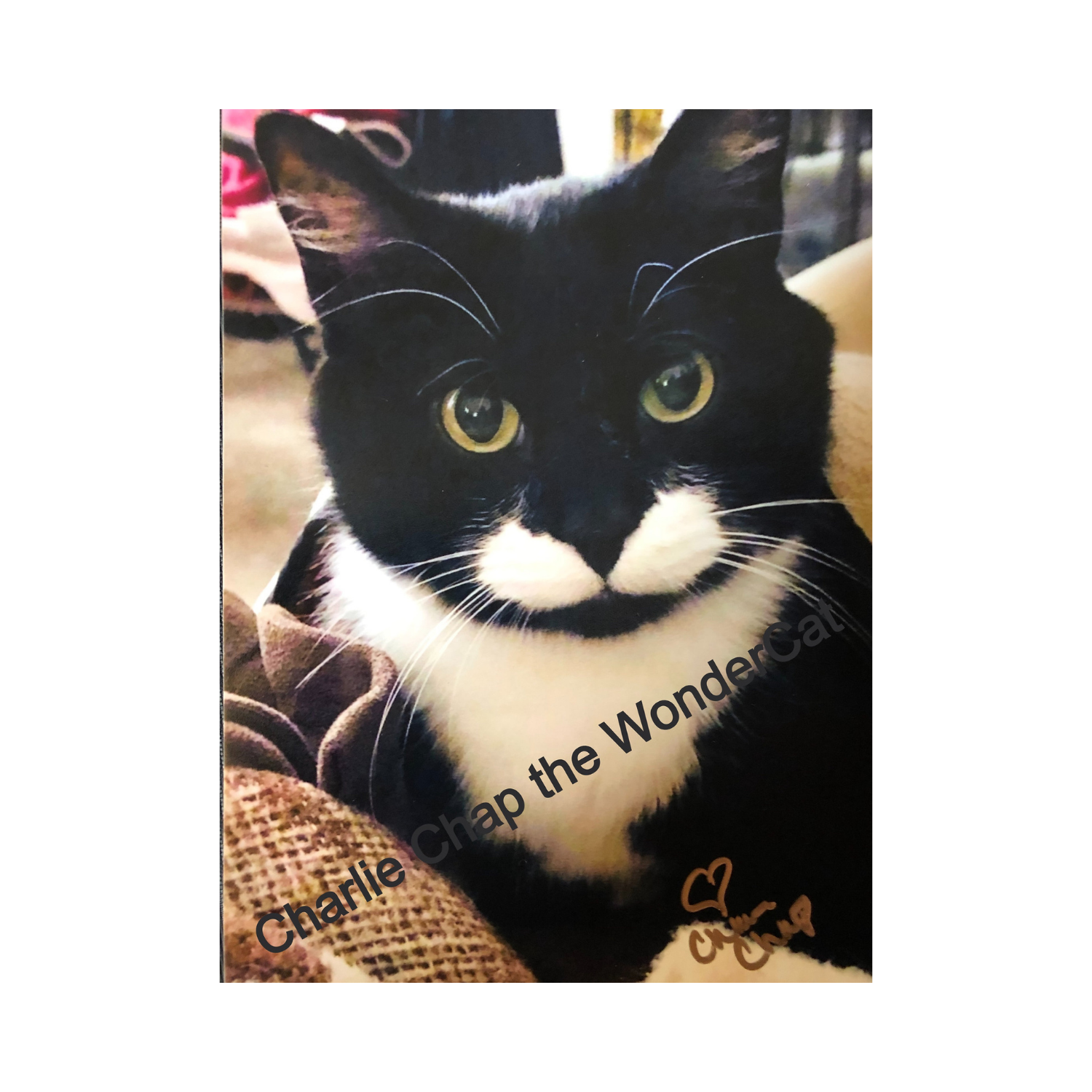 Charlie Chap 5X7 Print