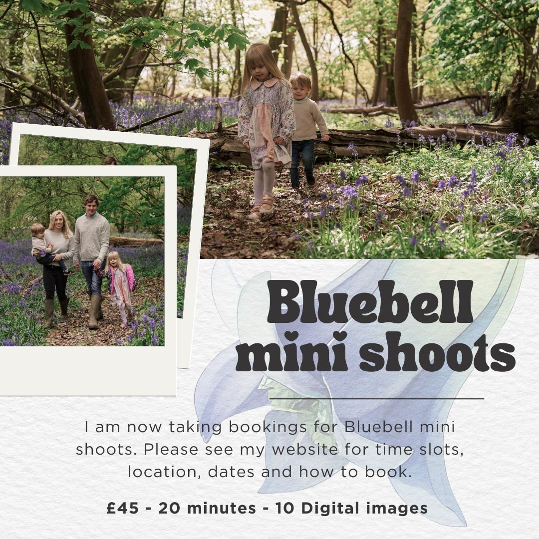 Bluebell Mini Shoot - Cockernhoe