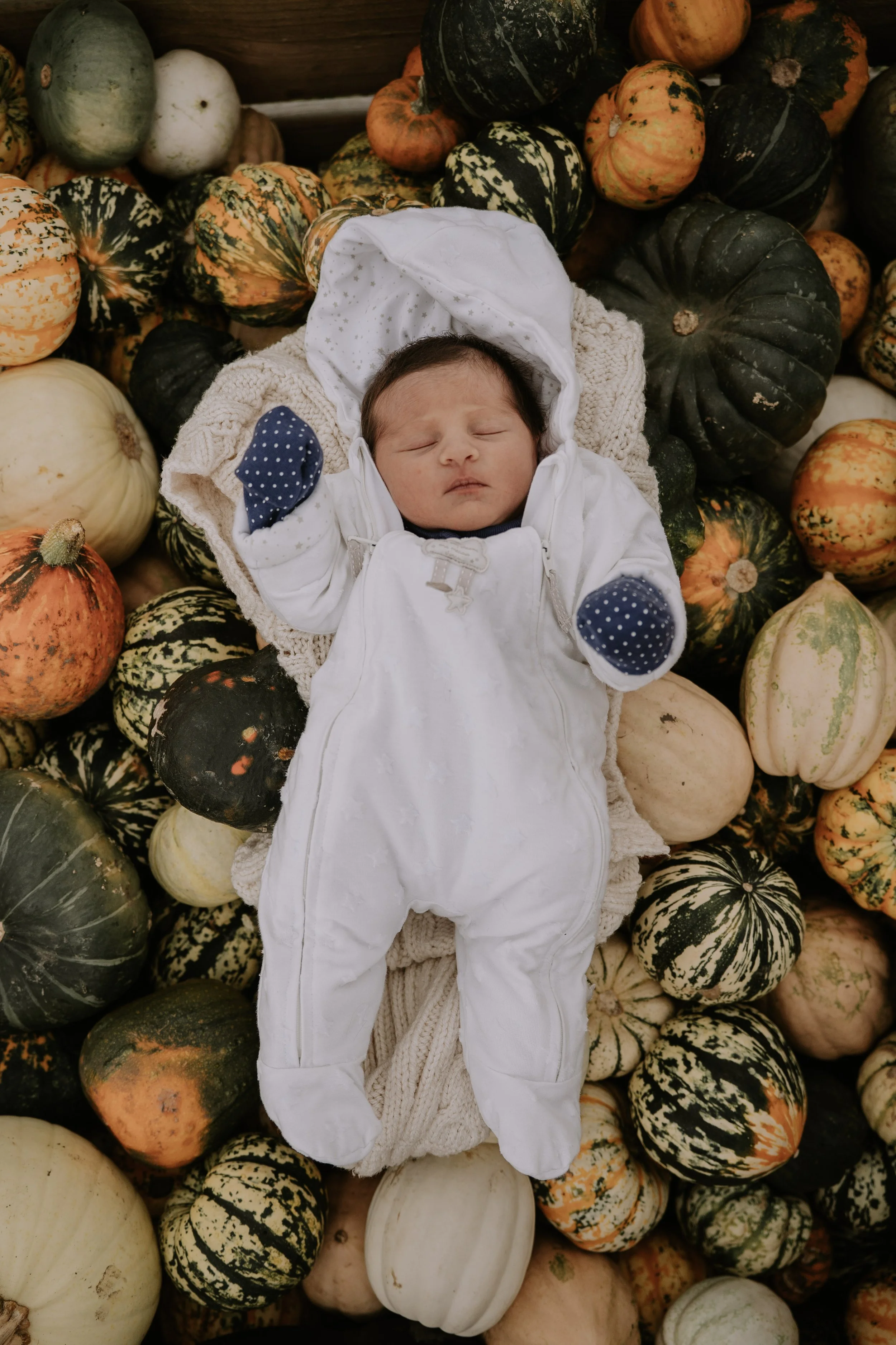 Pumpkin mini shoot