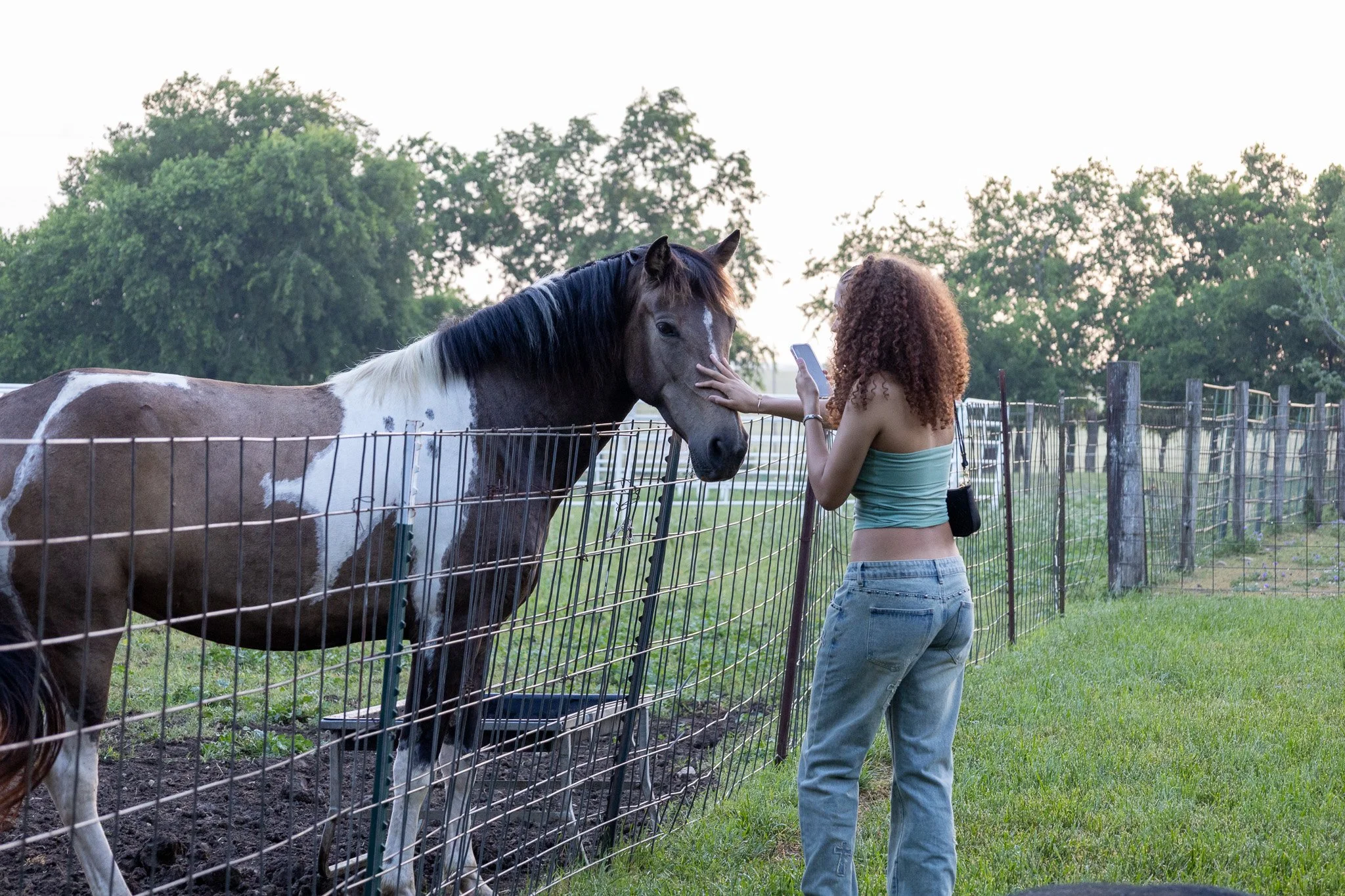 A woman with curly hair petting a brown and white horse through a wire fence in a grassy field, holding a smartphone.