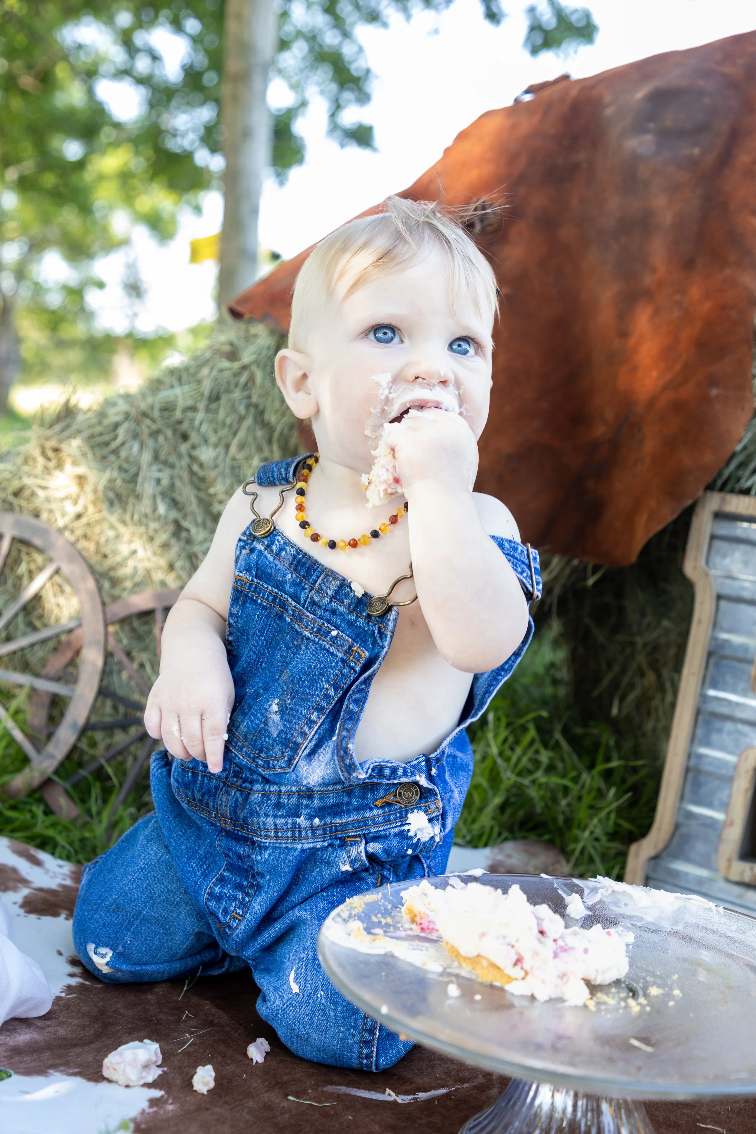 A young child with blue eyes wearing denim overalls and a beaded necklace, sitting on a cowhide, eating cake outdoors with a barn and hay in the background.