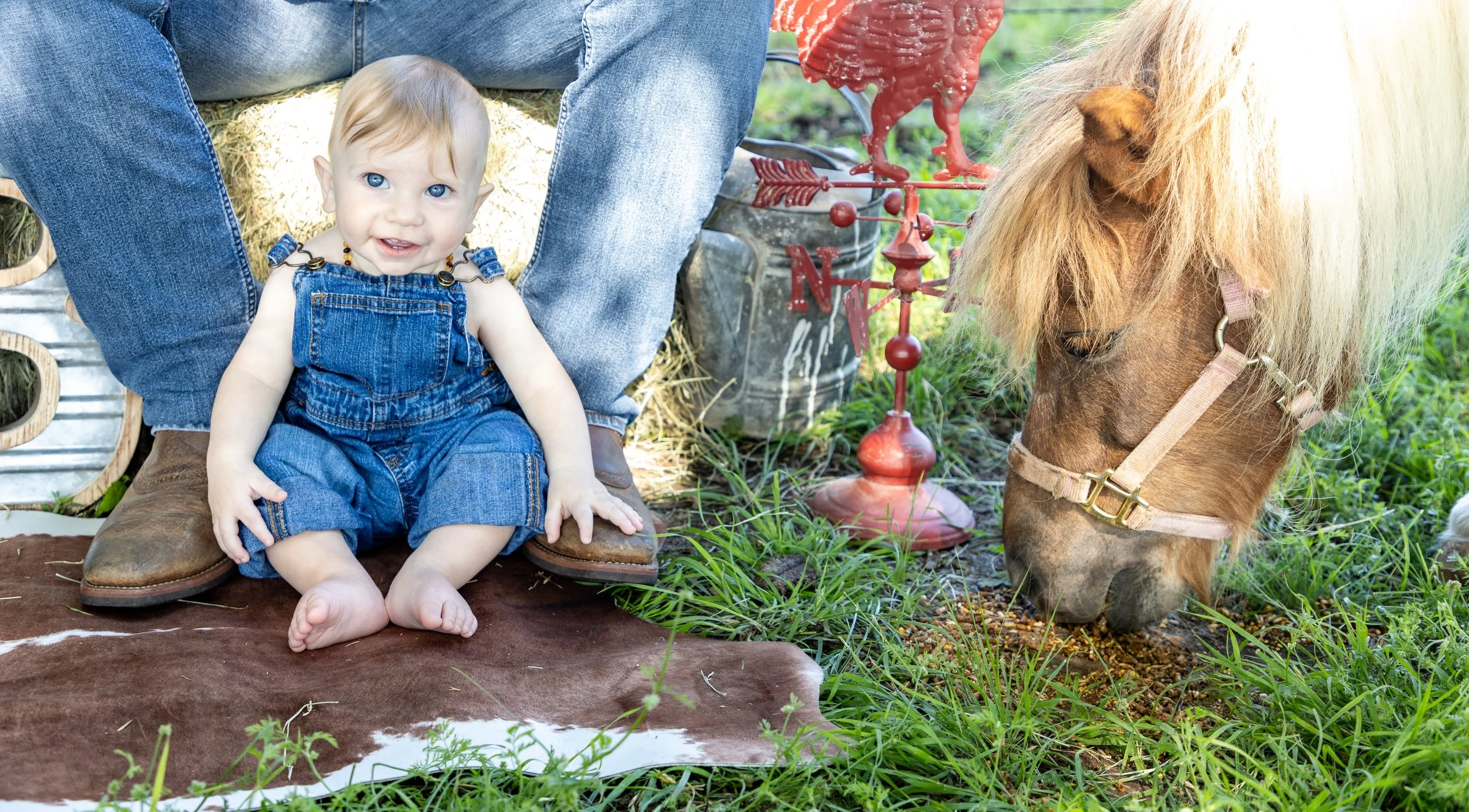 Baby sitting on a cowhide rug with a person sitting nearby, a horse grazing in a field, and decorative weather vane with a rooster in the background.