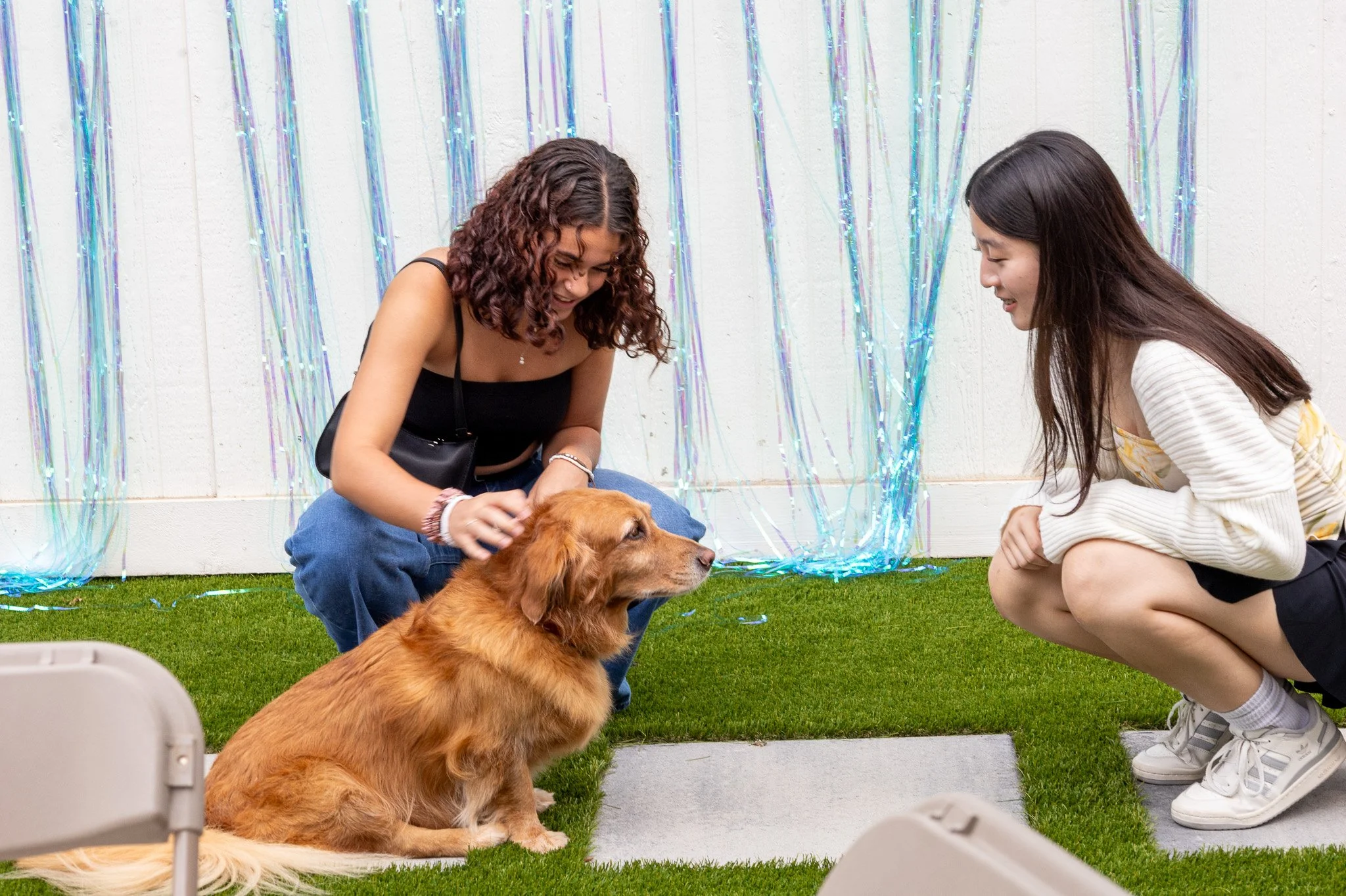 Two women are smiling and petting a golden retriever dog sitting on green artificial grass, with a backdrop of shiny blue streamers on a white wall.
