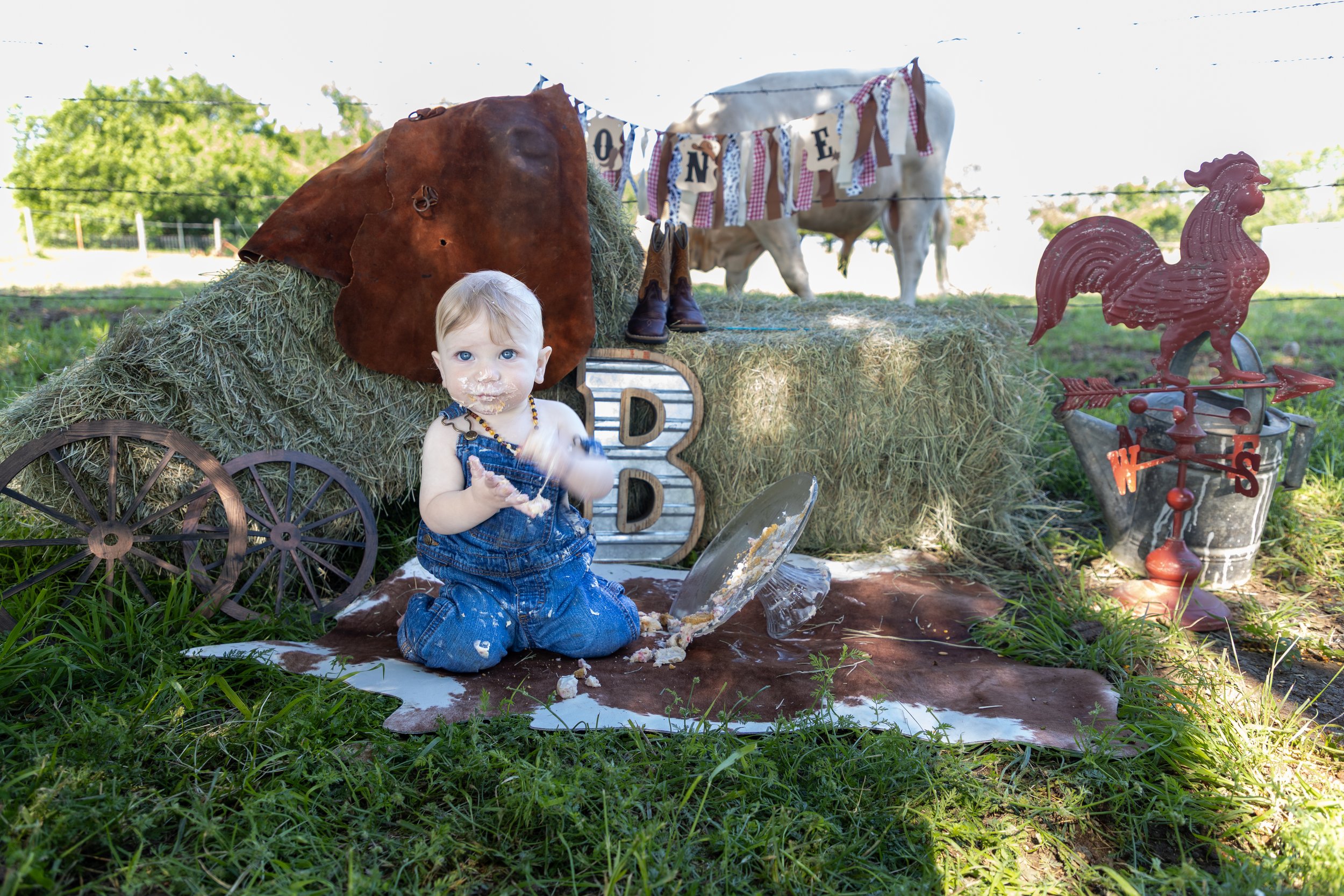 A young child with light hair and blue eyes sitting on a cowhide rug outdoors, surrounded by farm-themed decorations including hay bales, a red rooster weather vane, and a cow banner. The child has food on their face and clothes, holding a spatula, i