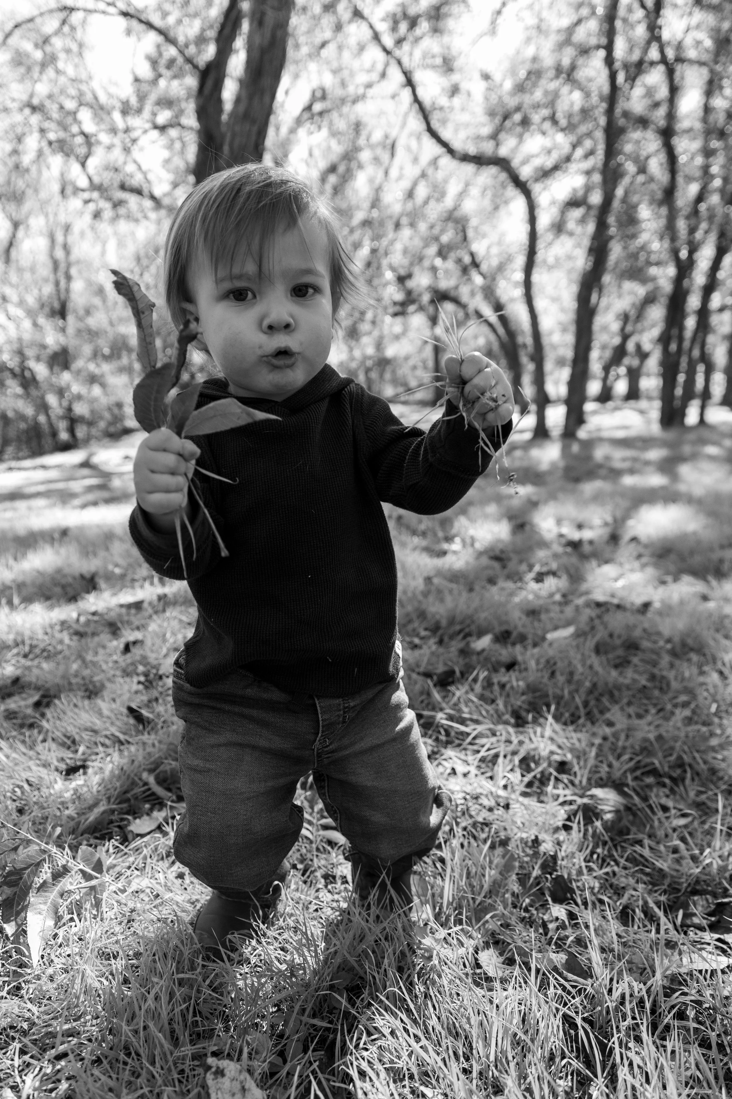 A young child outdoors in a wooded area holding a leaf in one hand and a small plant with roots in the other, black and white photograph.