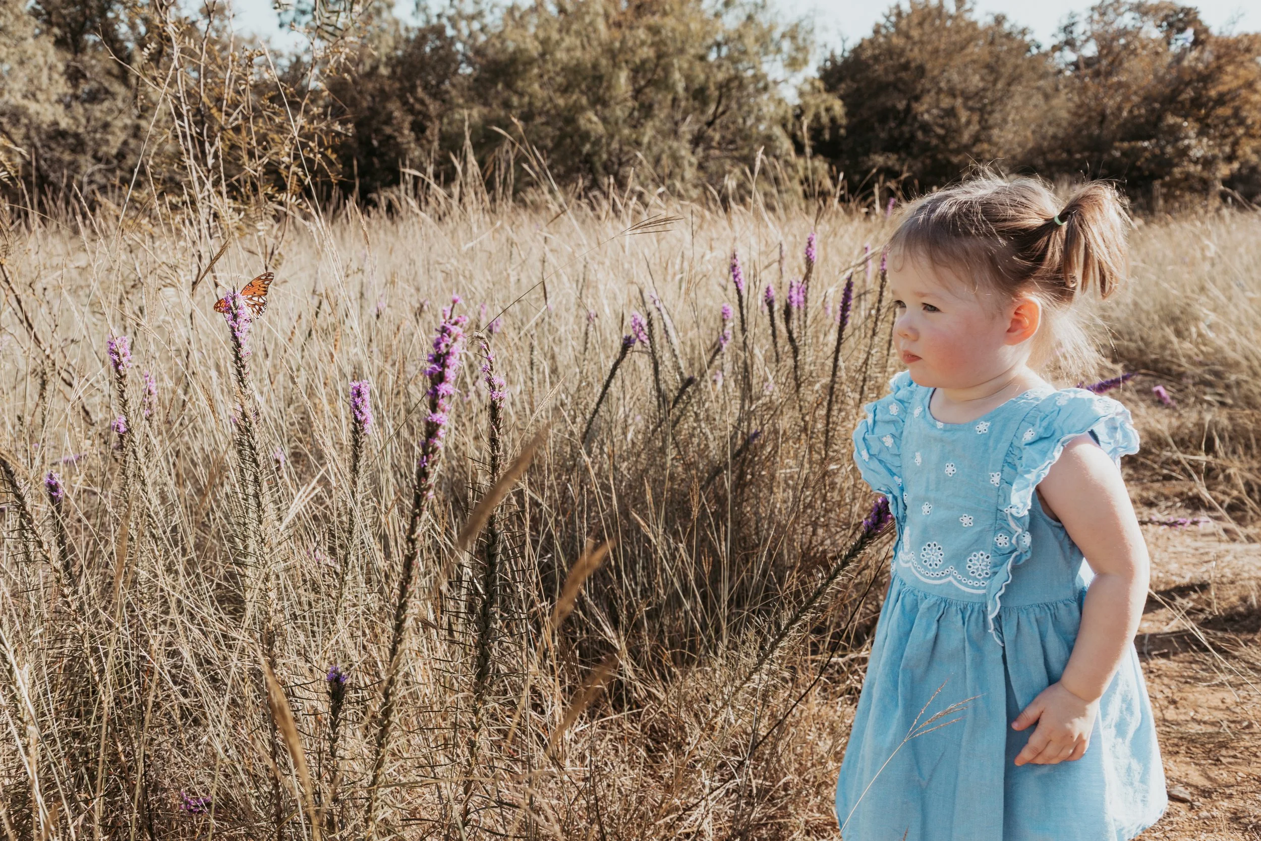 A young girl in a blue dress standing in a field of tall, dry grass and purple wildflowers, with a butterfly flying nearby.
