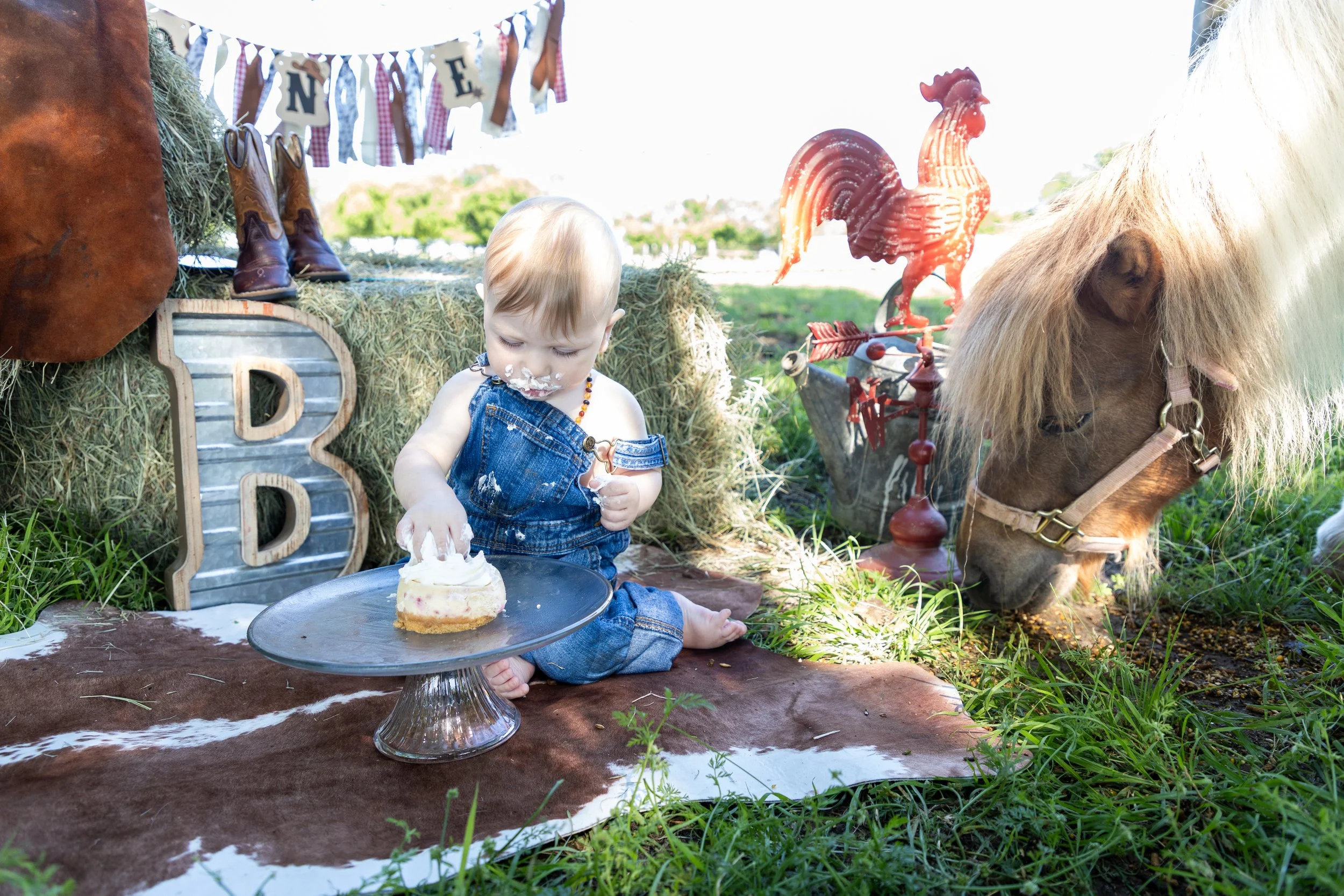 A baby sitting on a cowhide rug outdoors birthday setup. The baby is wearing denim overalls and has cake on their face and hand, with a cake in front. There are rustic decorations, a white horse with a mane, a rooster statue, hay bales, boots, and a 