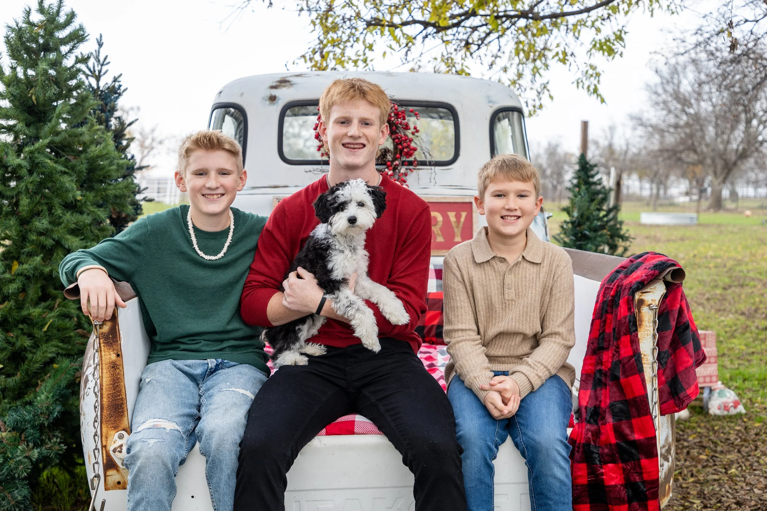 Three boys and a dog sitting in the back of a white vintage truck decorated with Christmas wreaths and trees outdoors during daytime.