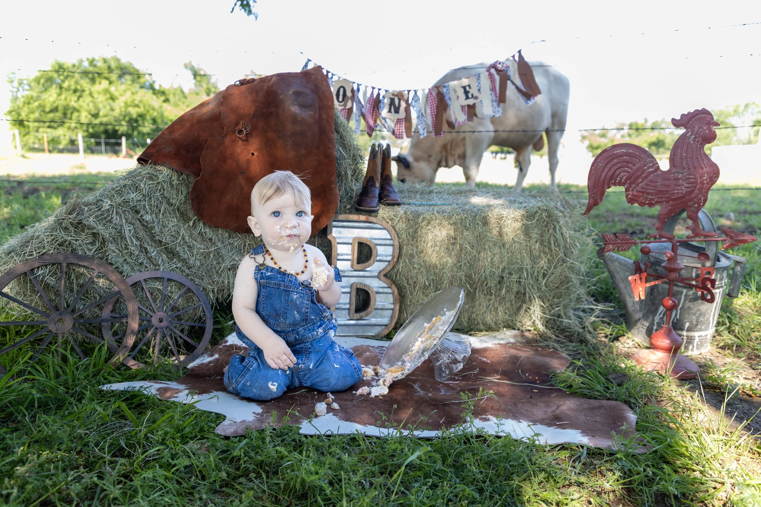 A young child with blue eyes and blonde hair, sitting on a brown and white cowhide rug outdoors, covered in cake and frosting, holding a plate. The child is dressed in blue overalls with a colorful necklace. Behind, there are hay bales, a large metal