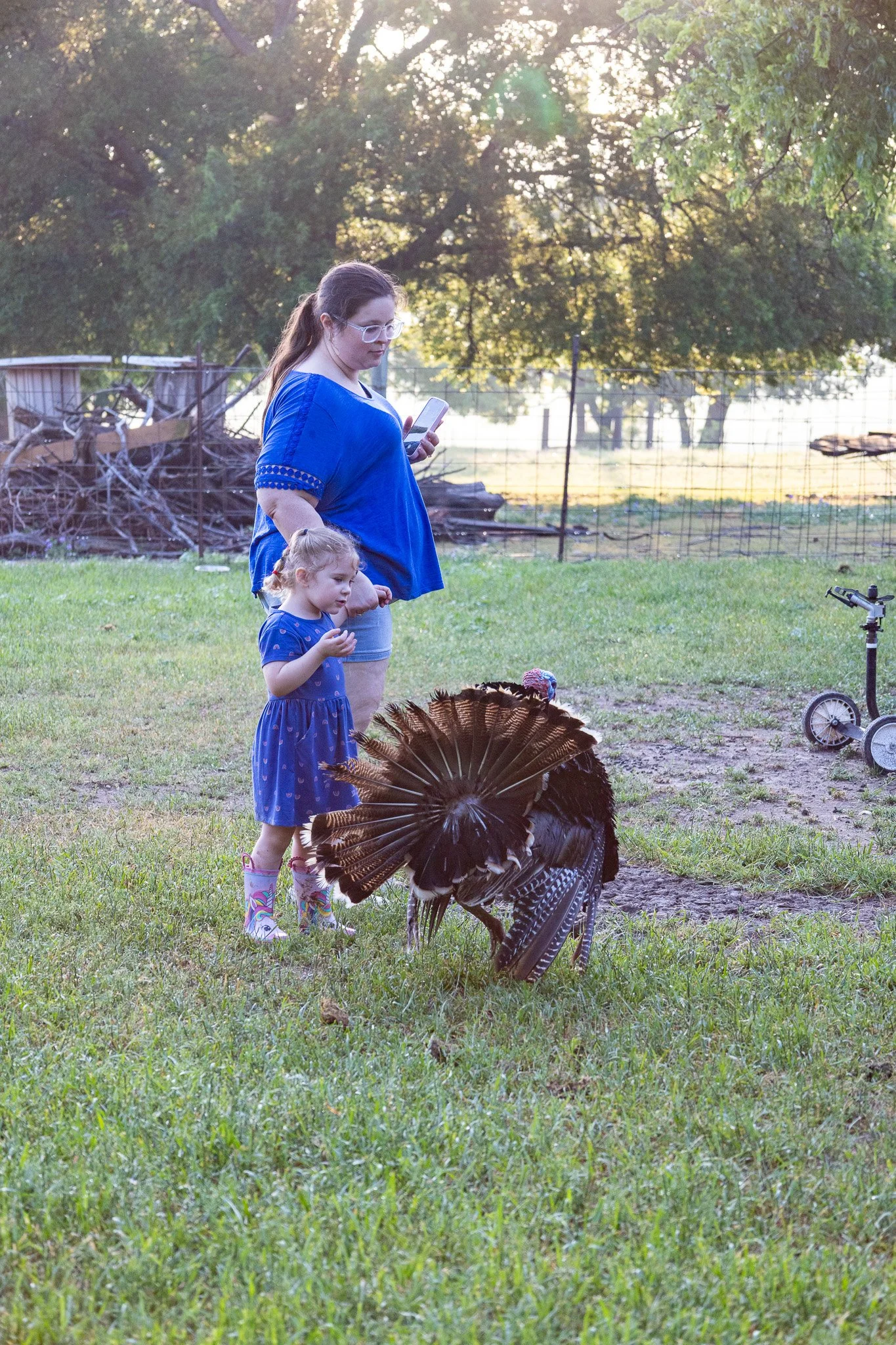 A woman and a little girl are outside, observing a large turkey on the ground. The woman is looking at her phone, while the girl is wearing rain boots and looking at the turkey. The setting appears to be a backyard with trees, a fence, and outdoor to