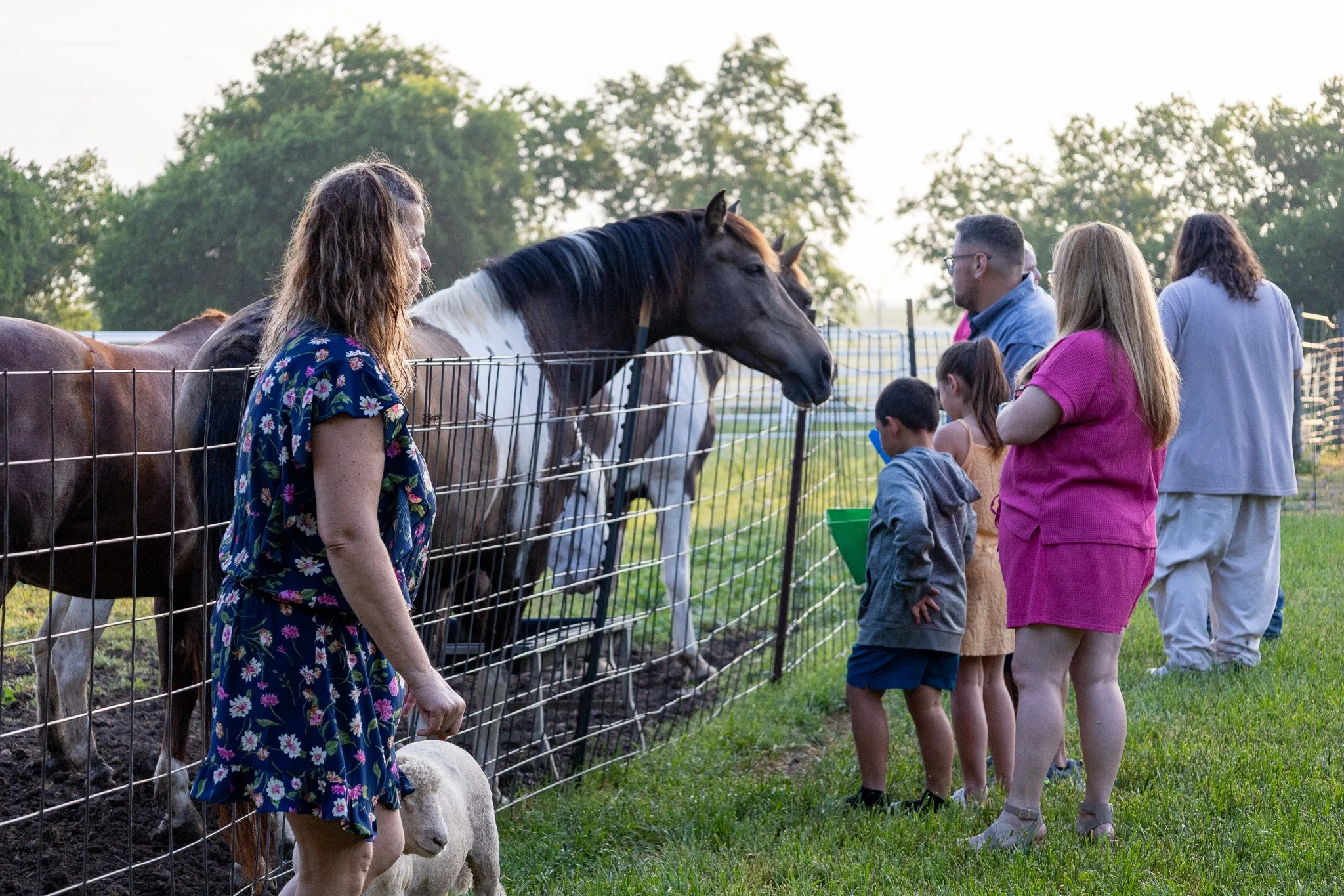 A group of people, including children and adults, are standing outside a fenced area with horses. They appear to be observing and interacting with the horses in a farm or petting zoo setting during daylight.