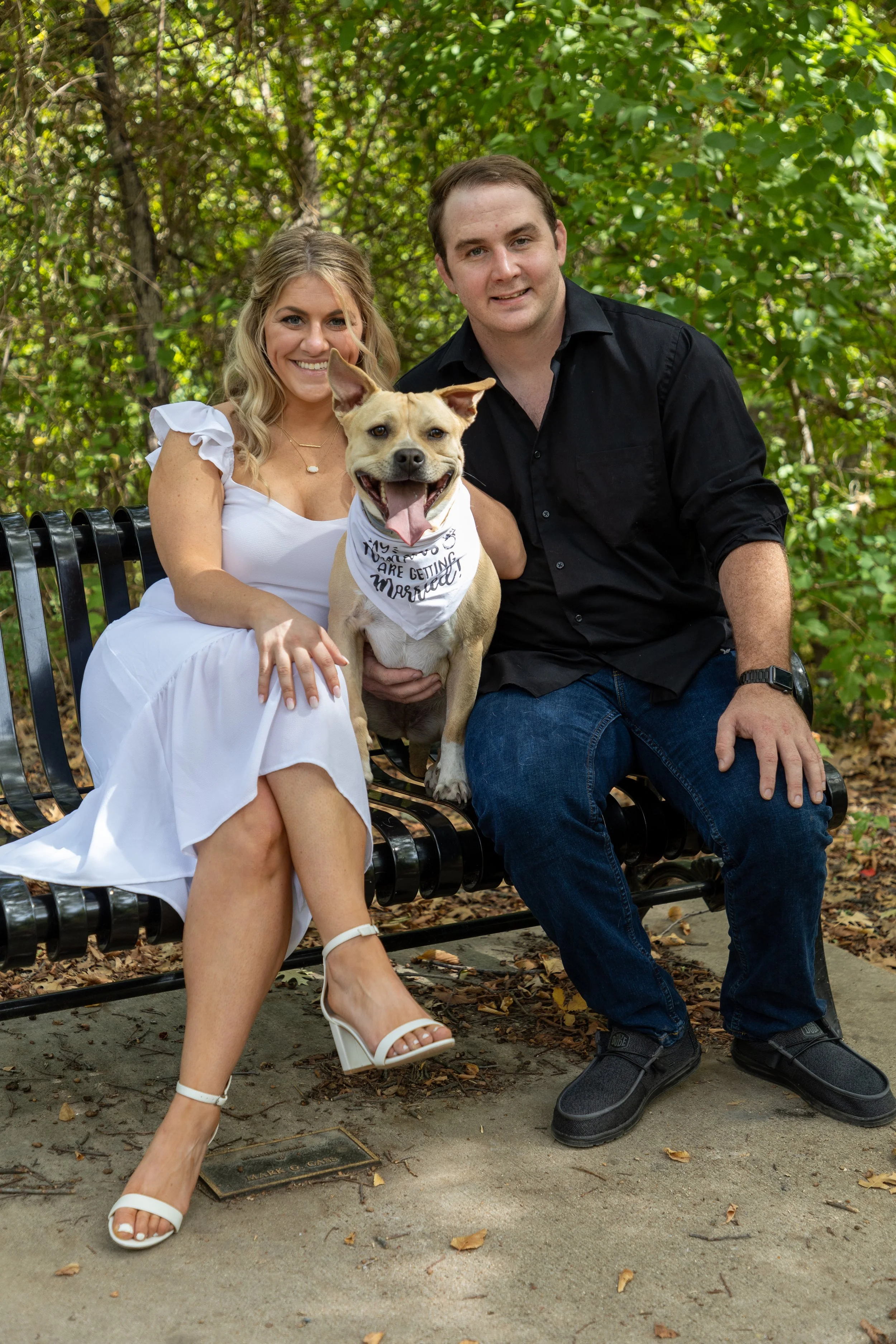 Couple sitting on a park bench with their dog, surrounded by trees and foliage.