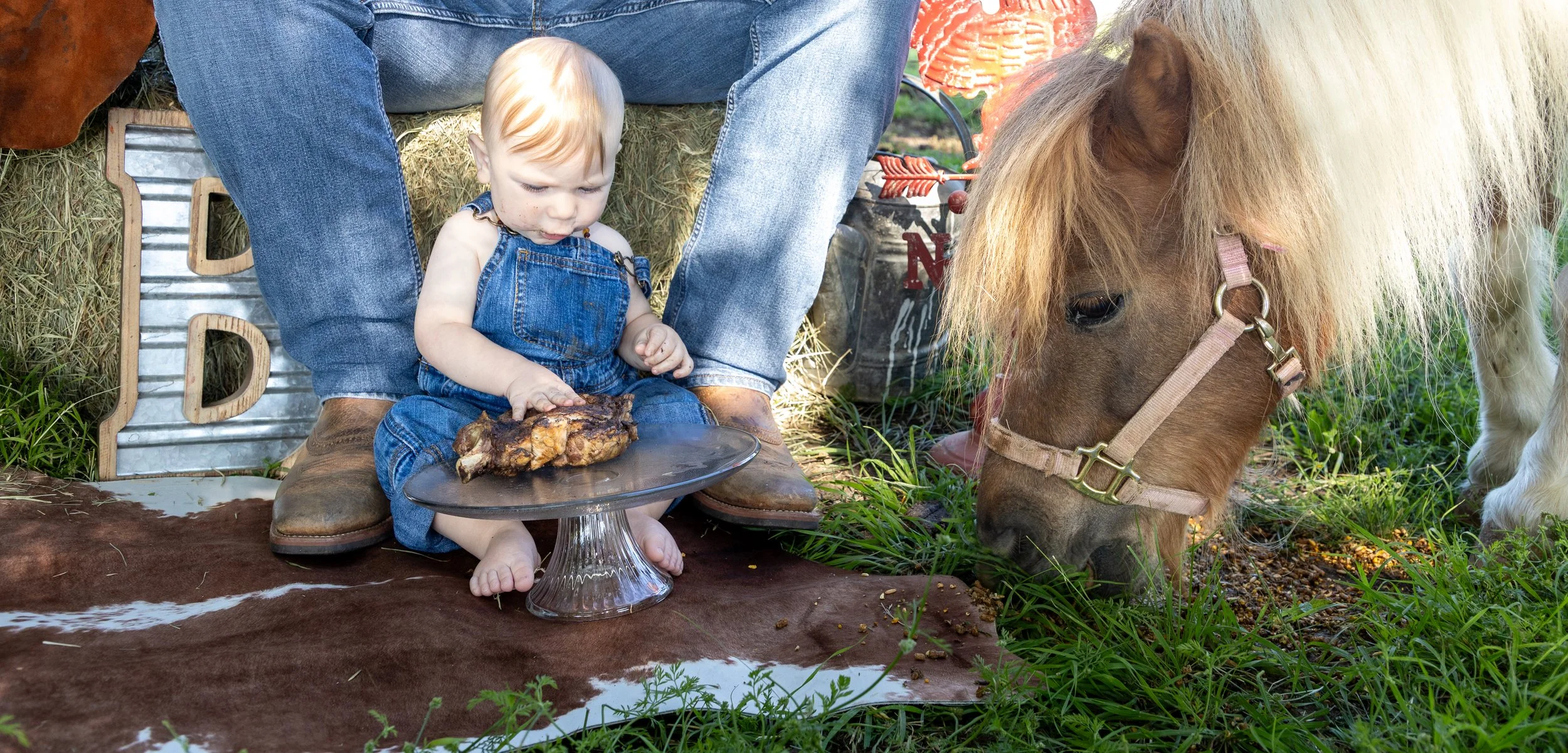 A young child dressed in denim overalls sitting on a cowhide rug and reaching for a piece of cooked meat on a black glass cake stand, with a small brown and white pony grazing nearby on green grass.