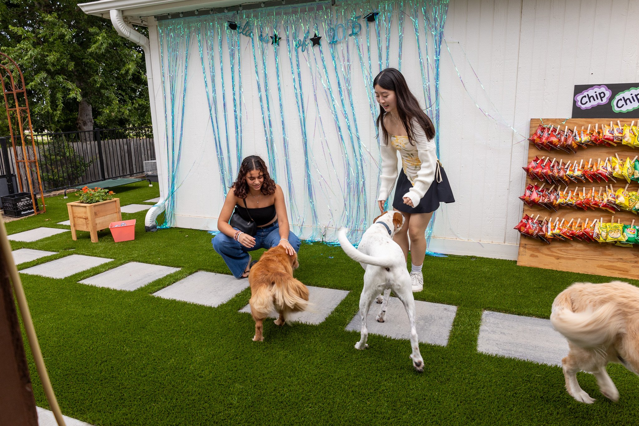 Two women and three dogs in a backyard with green artificial grass, a white wall decorated with blue streamers and black star cutouts, and a snack stand selling chips. One woman is crouching while petting a brown dog, and the other woman is standing 