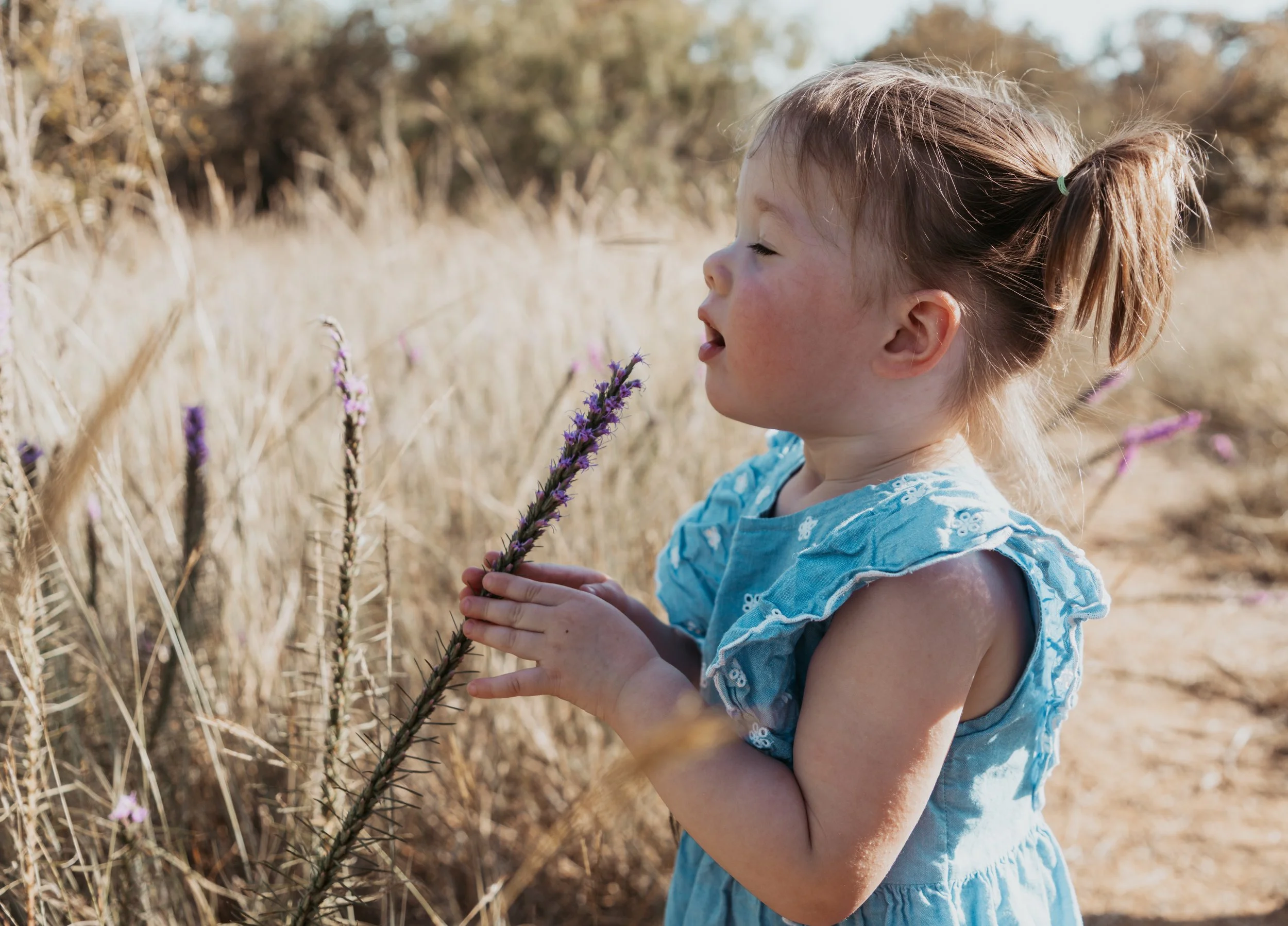 Young girl in blue dress smelling a purple wildflower in a field of dry grass.