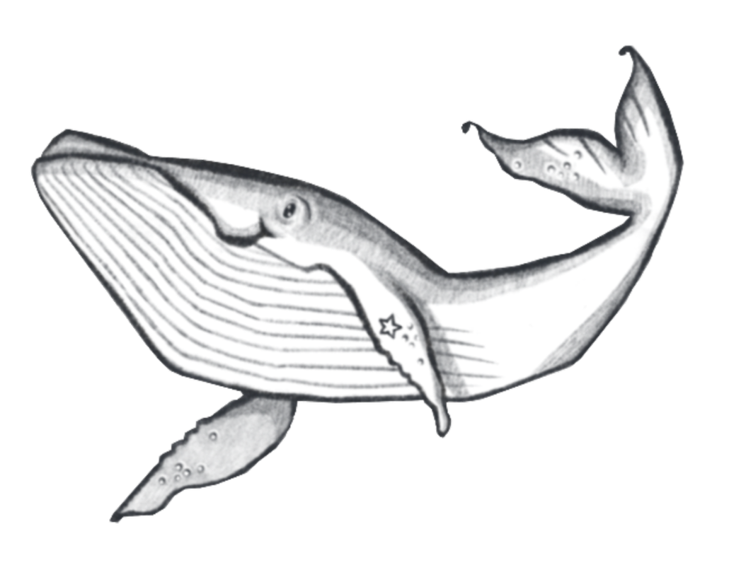 83DBF31B-C34E-4446-9D5A-E447FA87138A.png