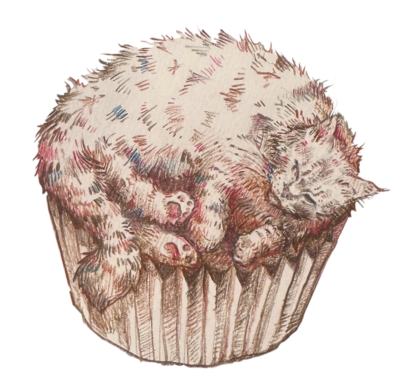 81291D2A-6473-41FC-B5EB-CCBFC04161C9.png