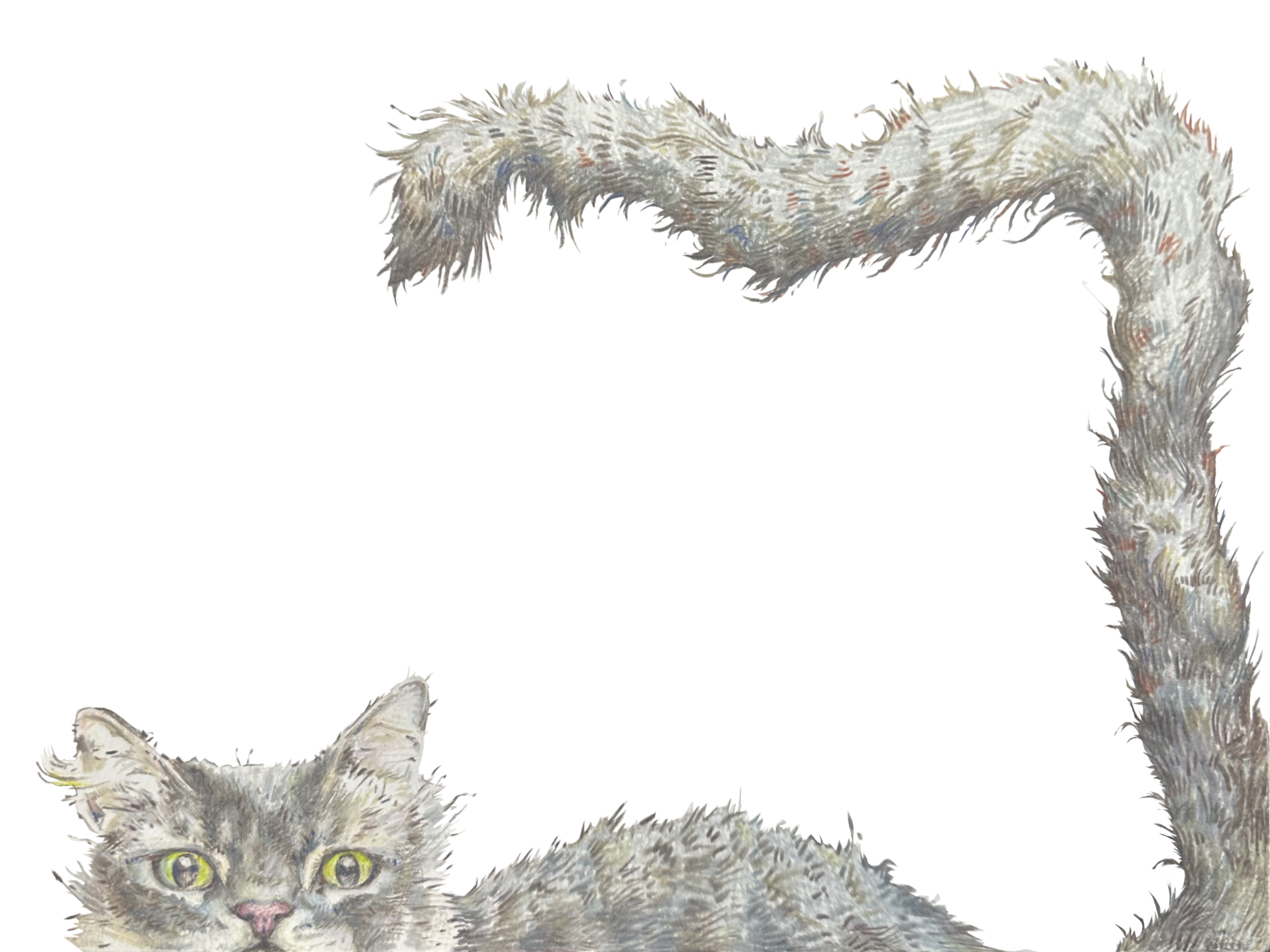 21BF431B-5D0B-4379-90C7-5F86796E2CFF.png