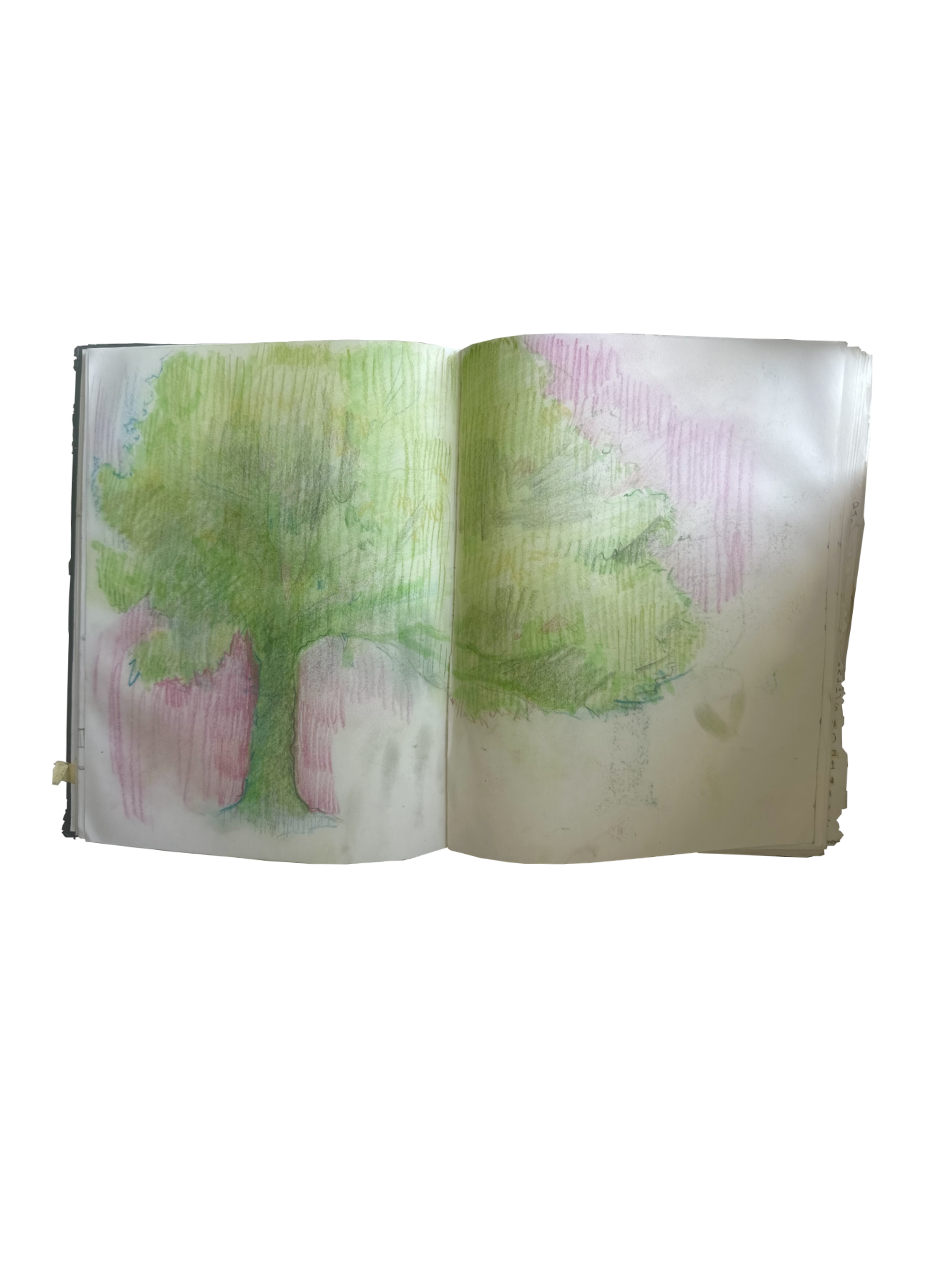 unnamed-13.png