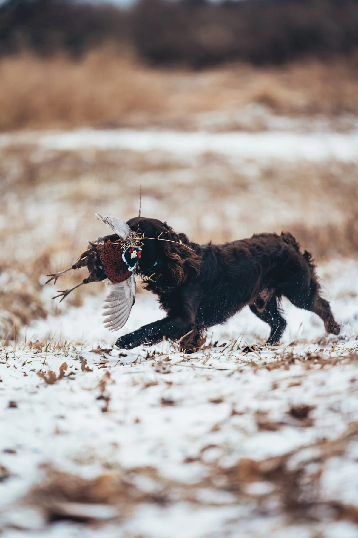 Pfeifer Proofs-15.jpg