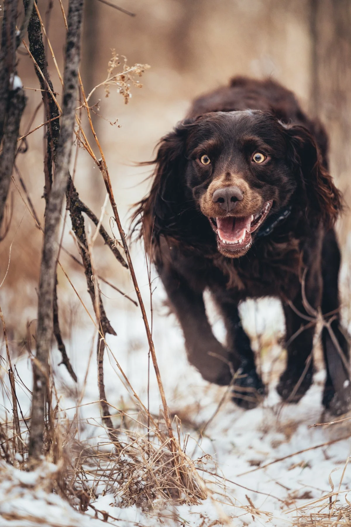 Pfeifer Proofs-12.jpg