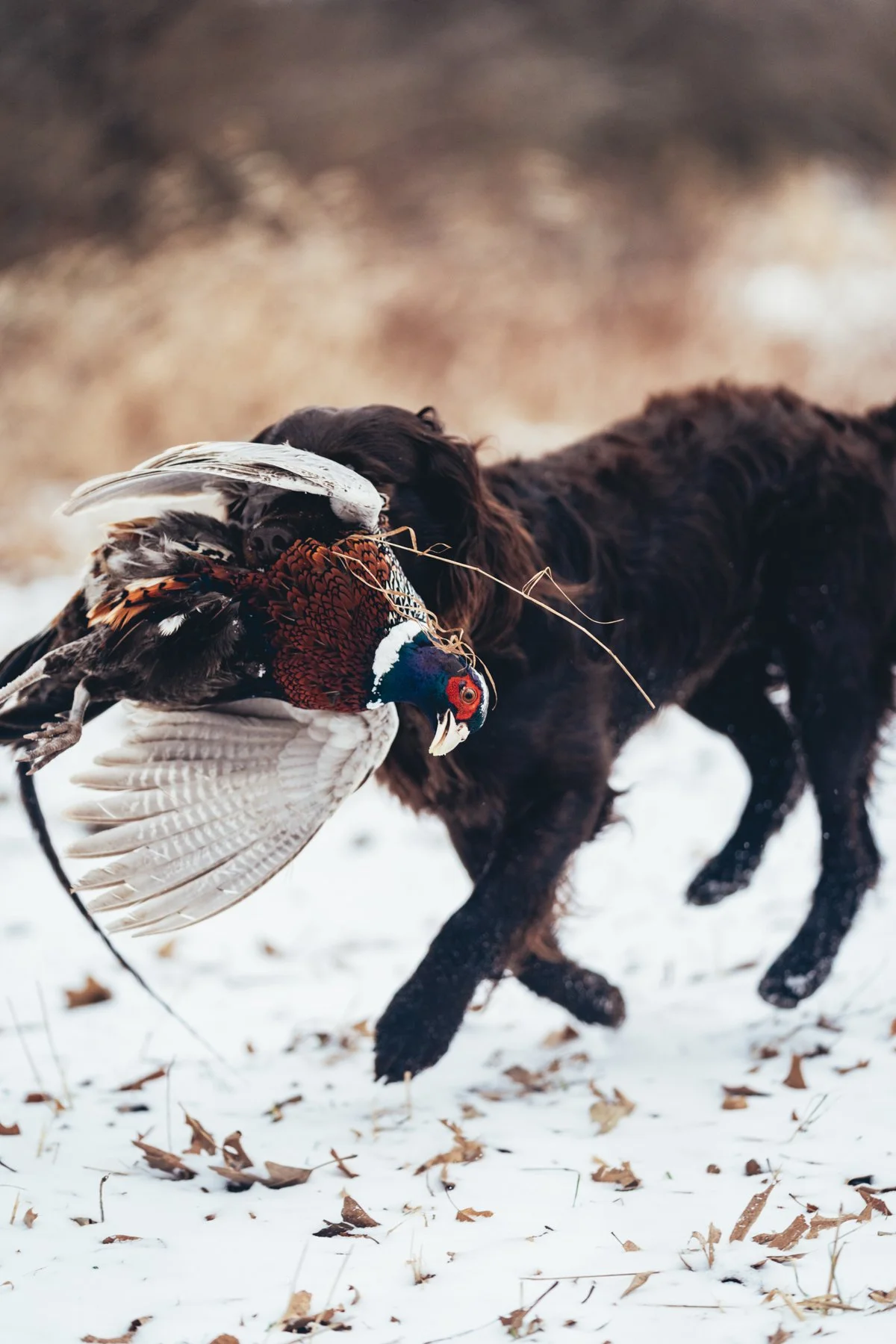 Pfeifer Proofs-17.jpg