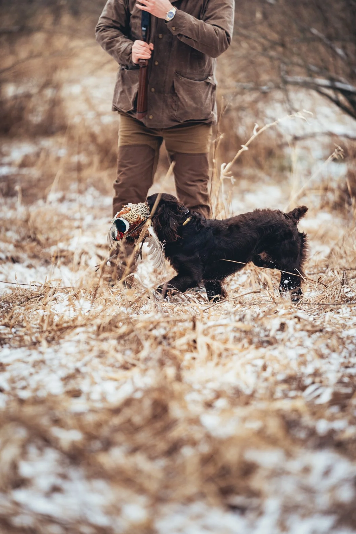 Pfeifer Proofs-6.jpg