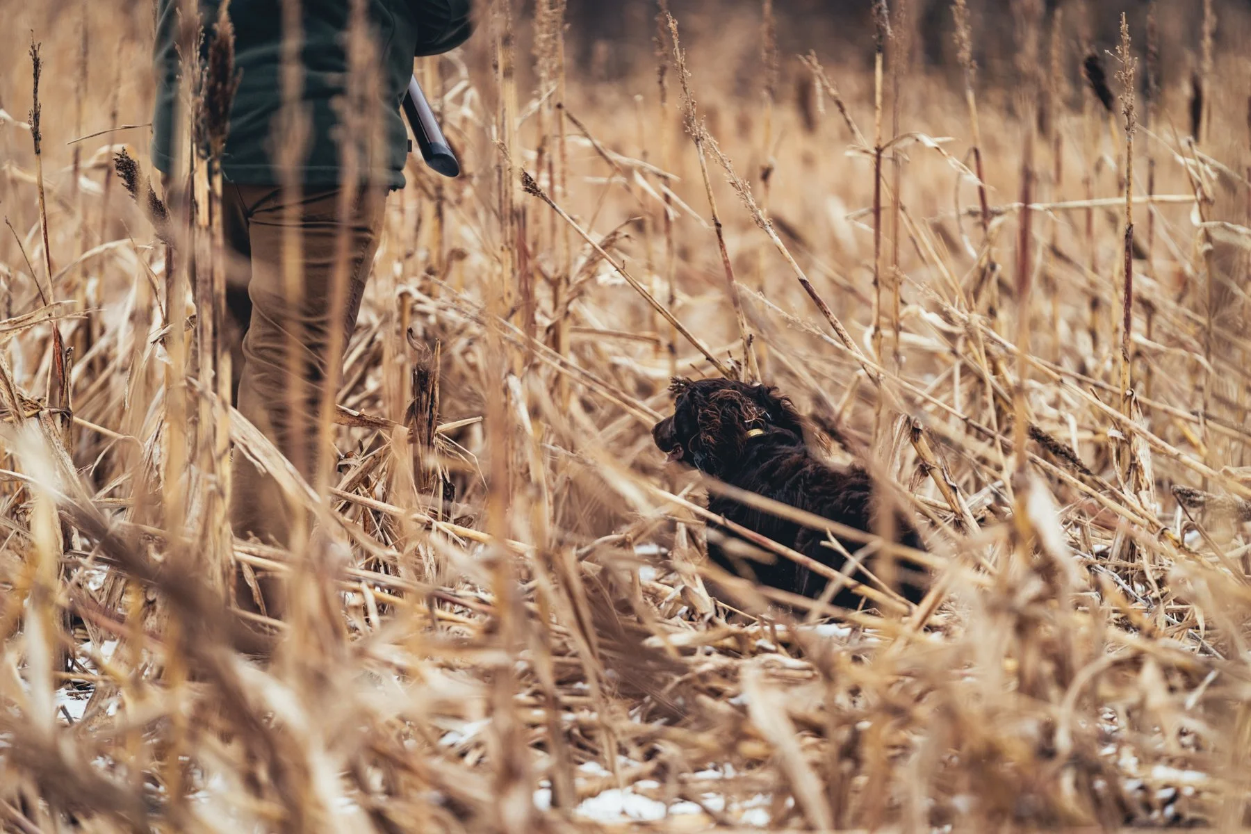 Pfeifer Proofs-36.jpg